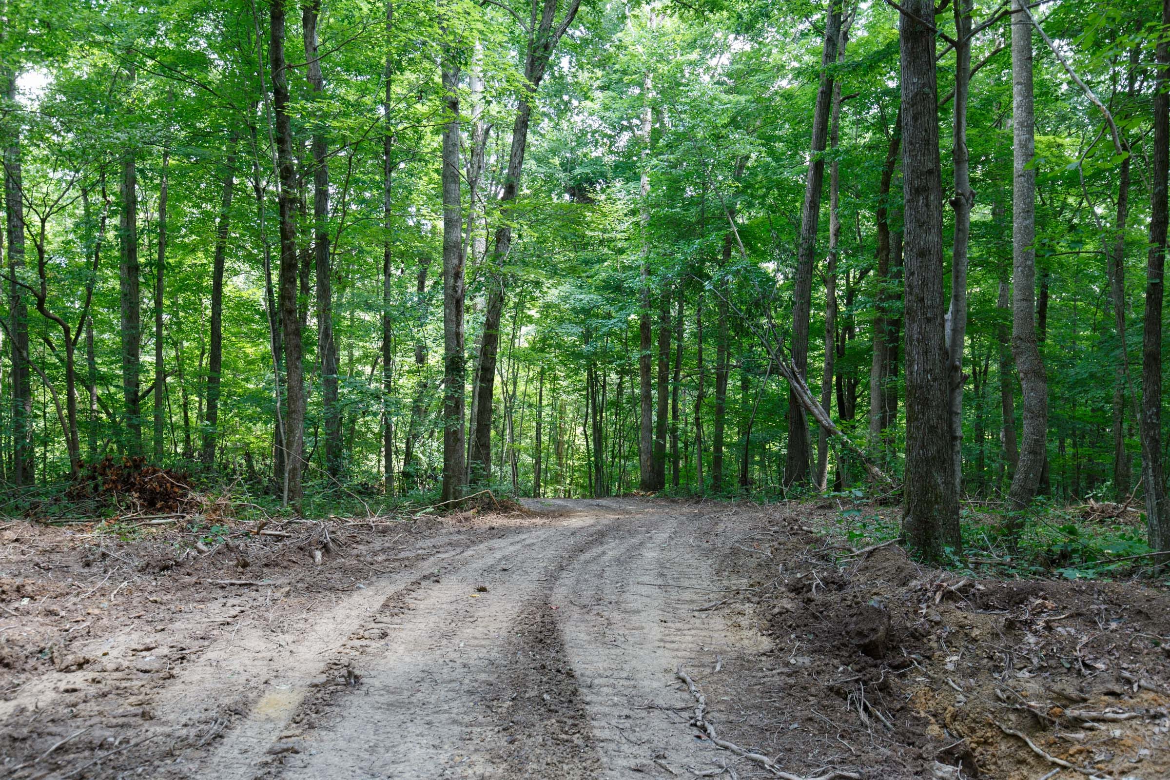 Rolling Hills Tract 16 photo 6