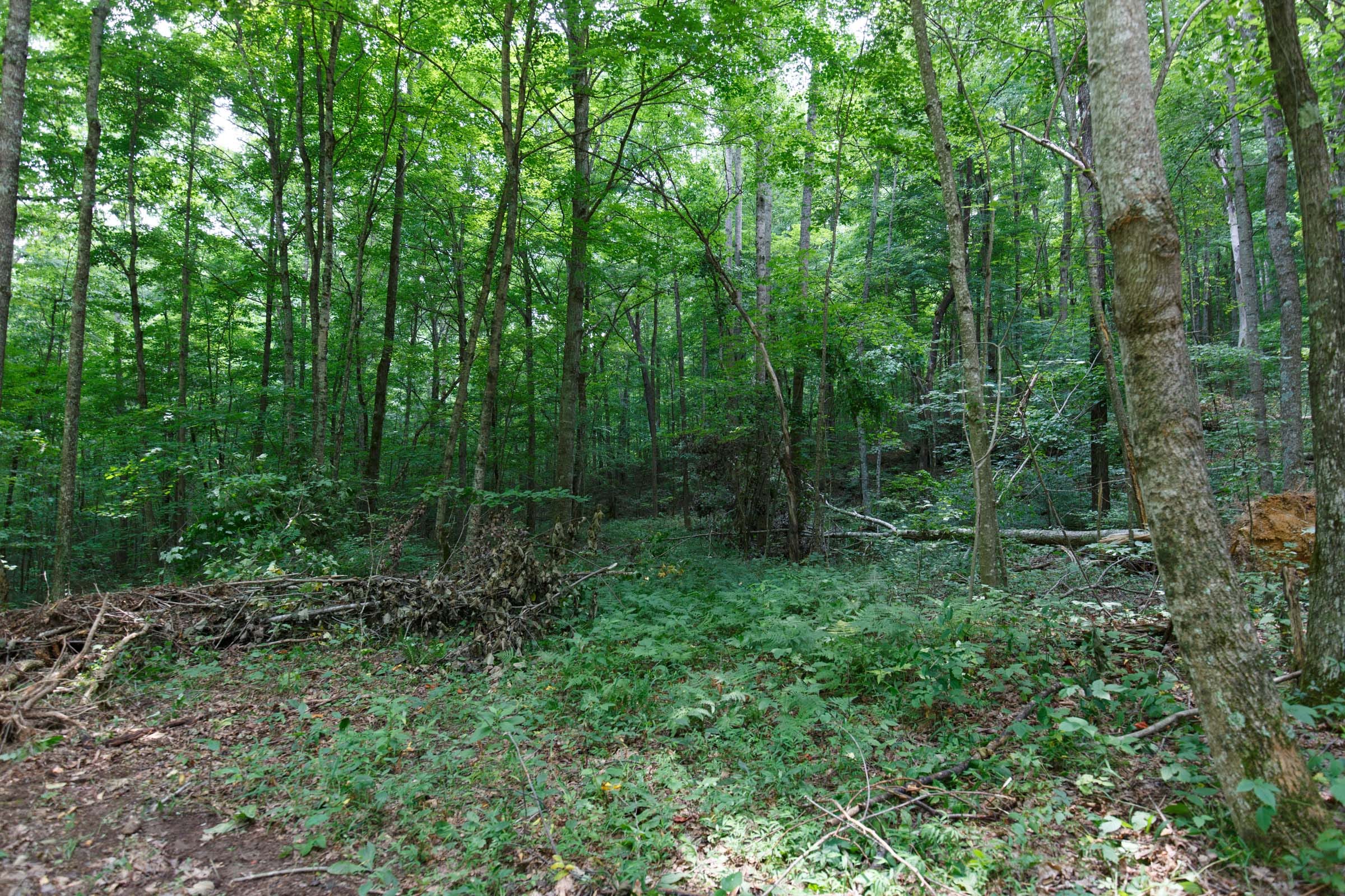 Rolling Hills Tract 16 photo 7