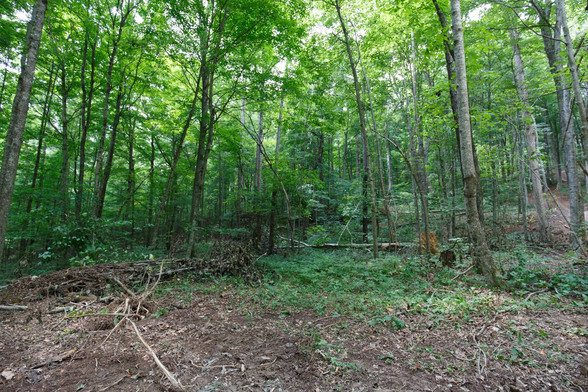 Rolling Hills Tract 16 photo 9