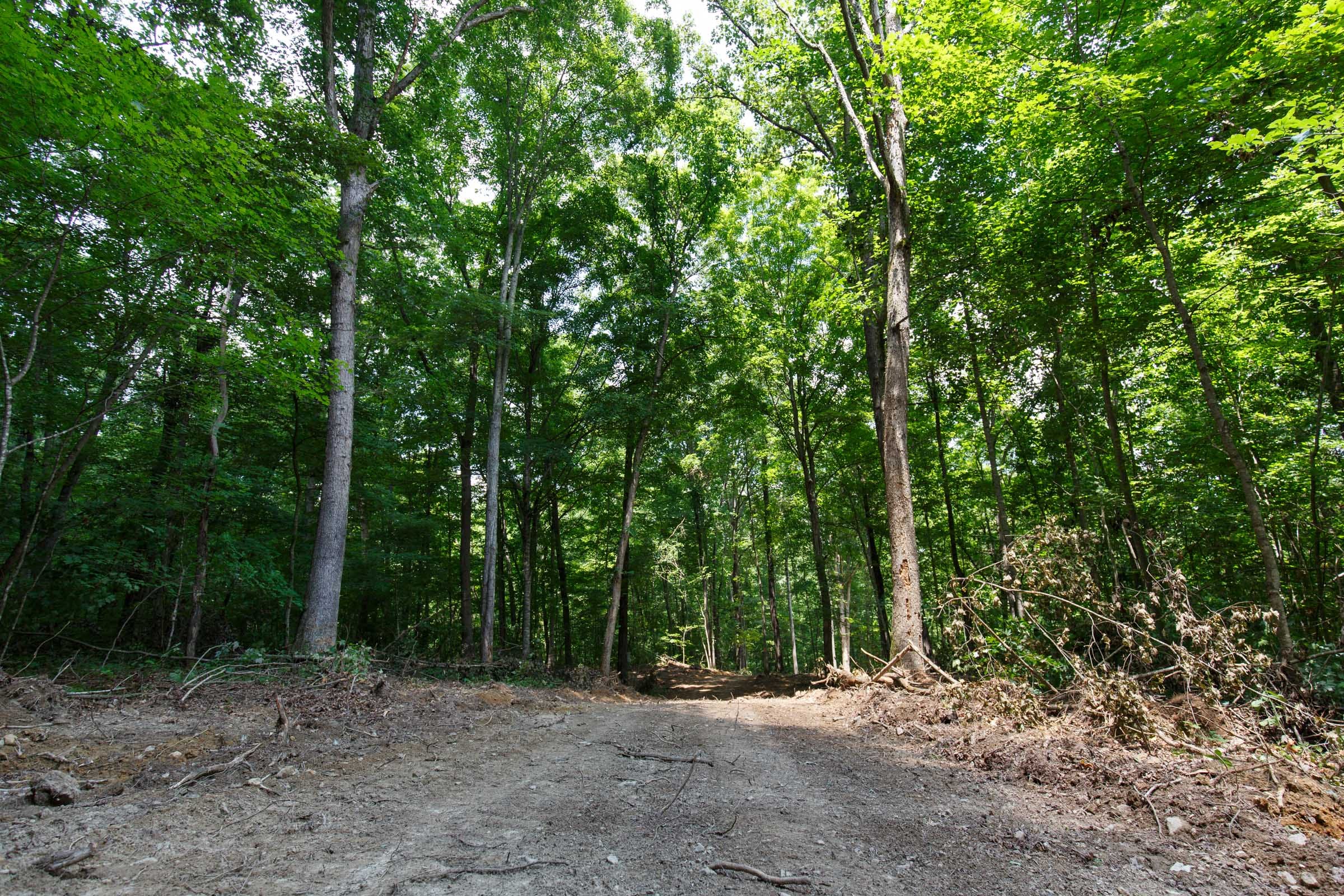 Rolling Hills Tract 16 photo 8