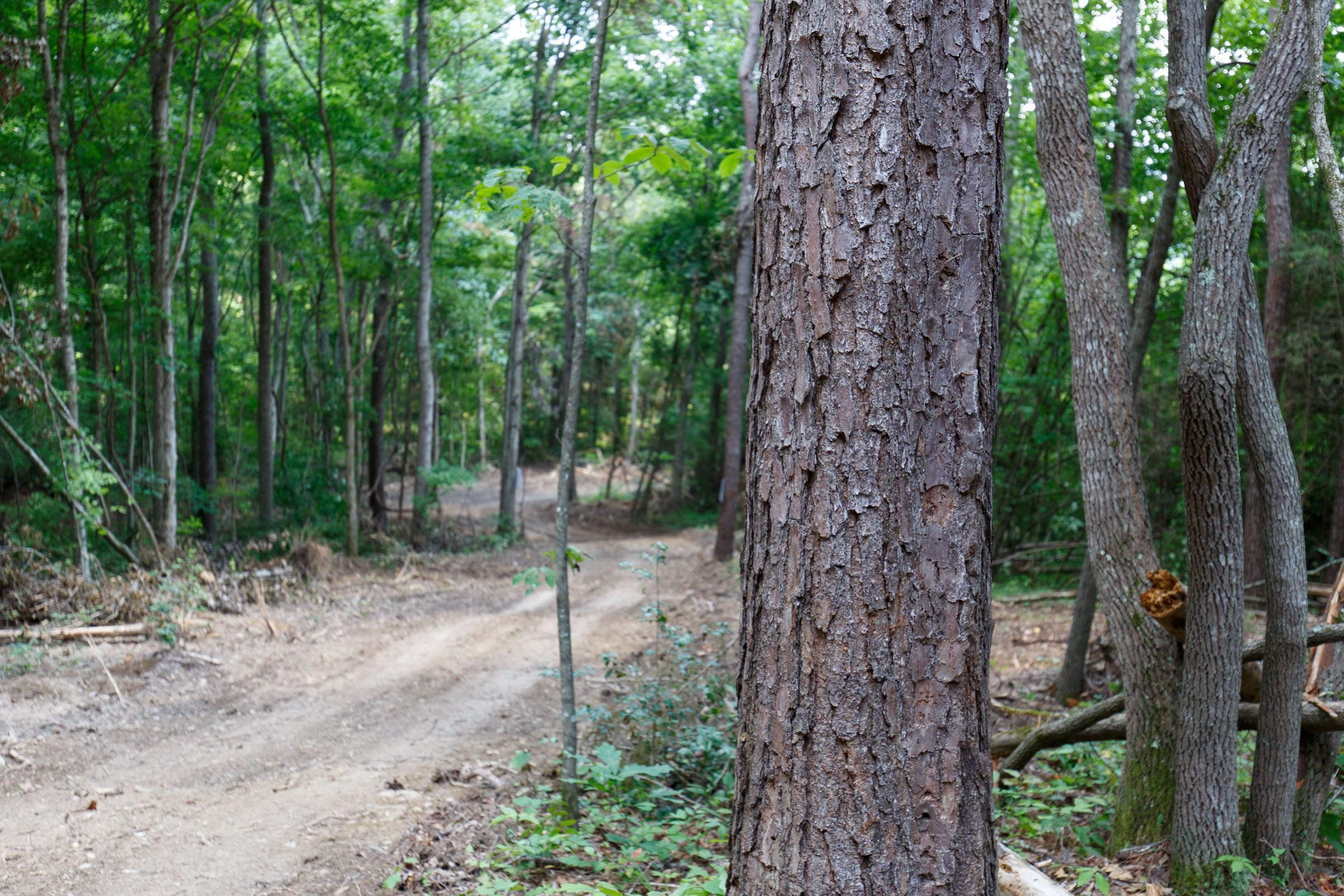 Rolling Hills Tract 16 photo 12