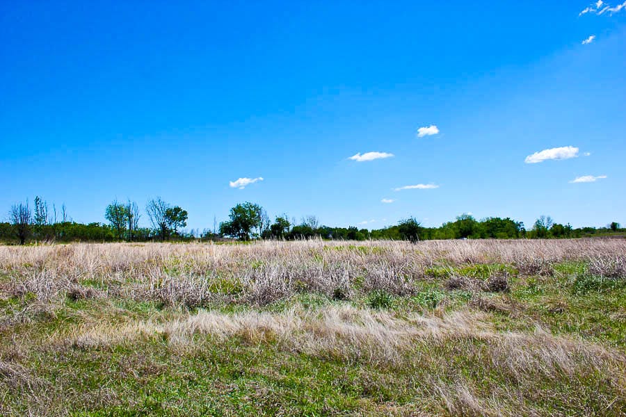 Saddlebrook Ranch Tract 6 photo 2