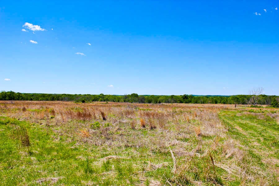 Saddlebrook Ranch Tract 6 photo 5