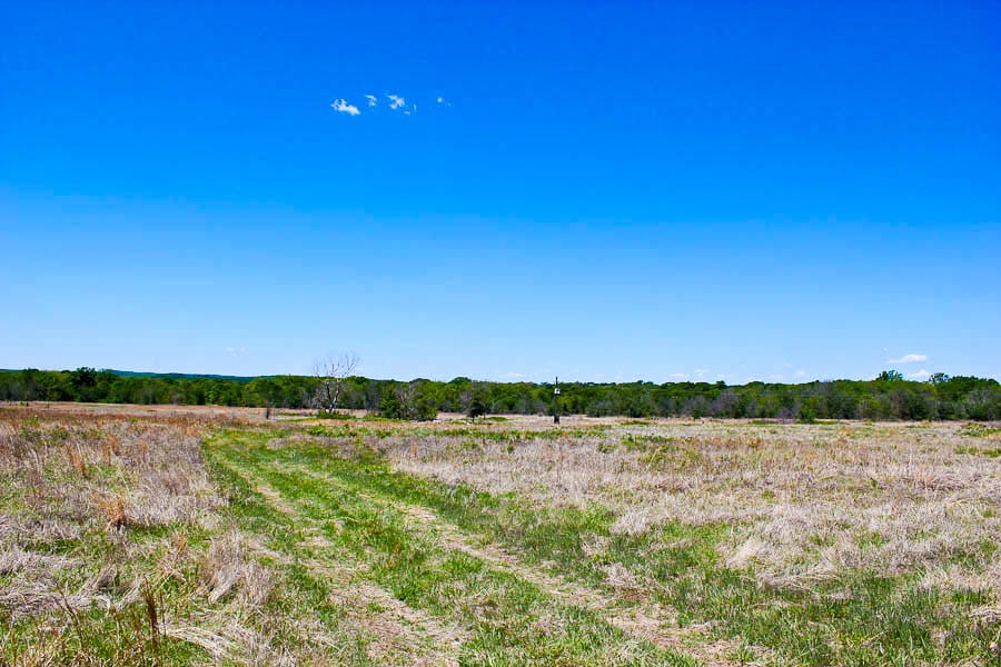 Saddlebrook Ranch Tract 6 photo 7