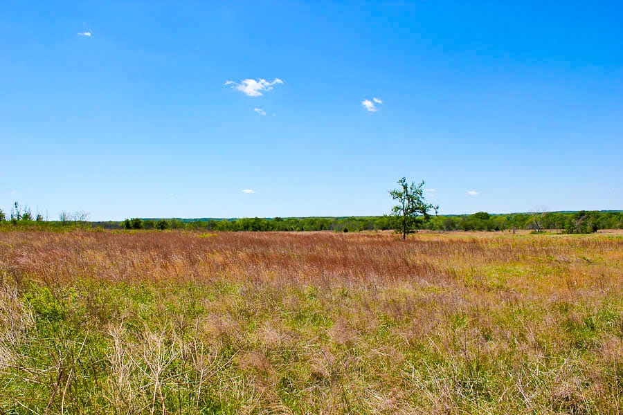 Saddlebrook Ranch Tract 6 photo 8