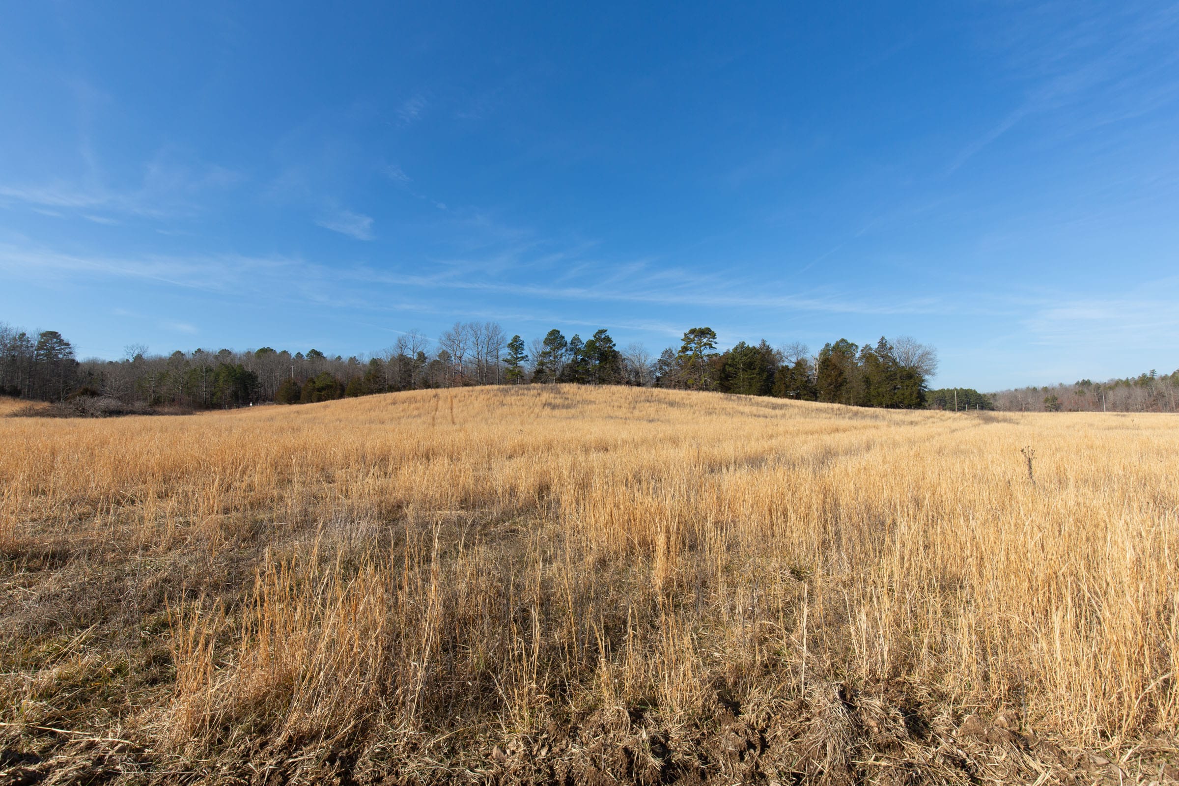 O’Connor Crossing Tract 32 photo 5