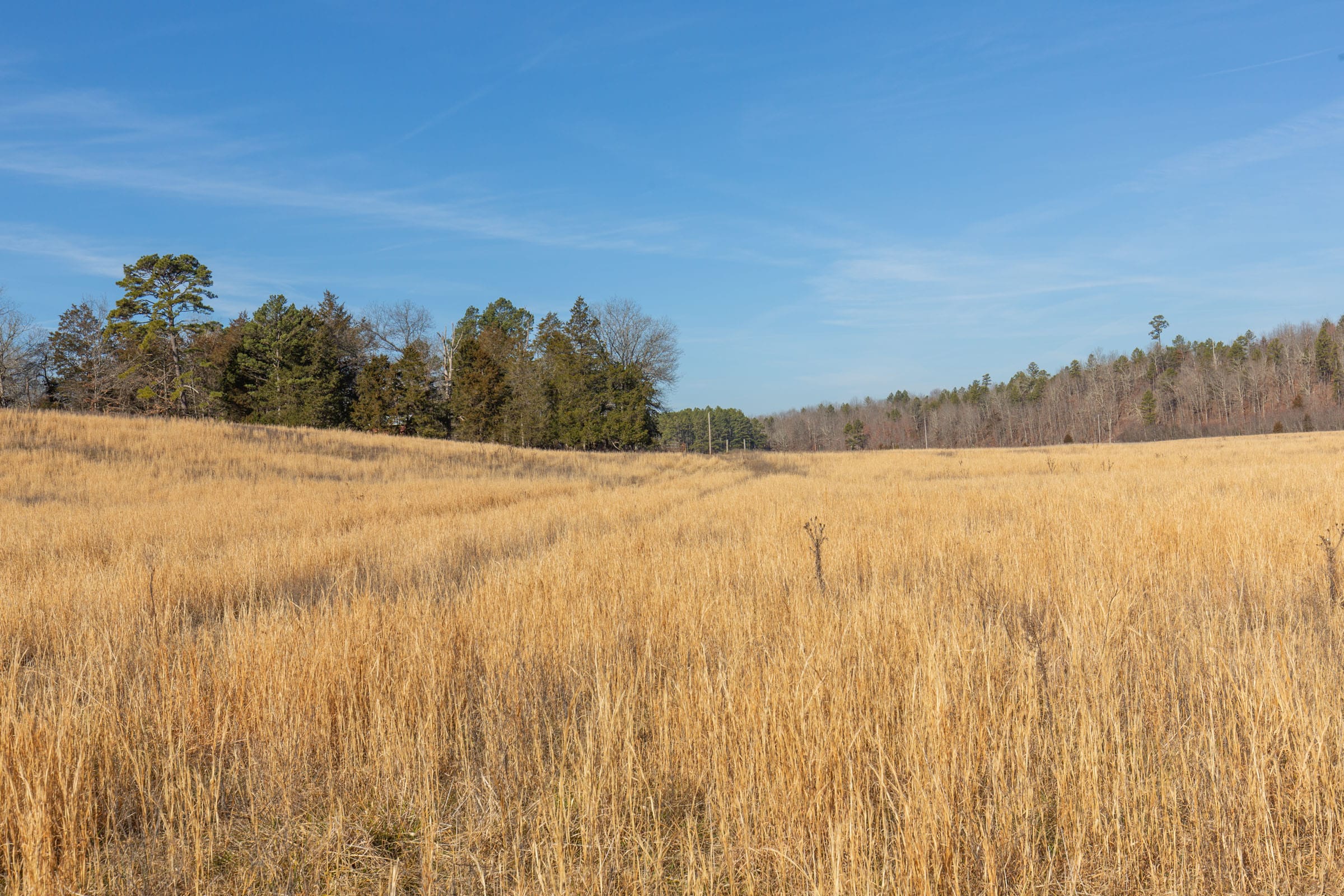 O’Connor Crossing Tract 32 photo 4