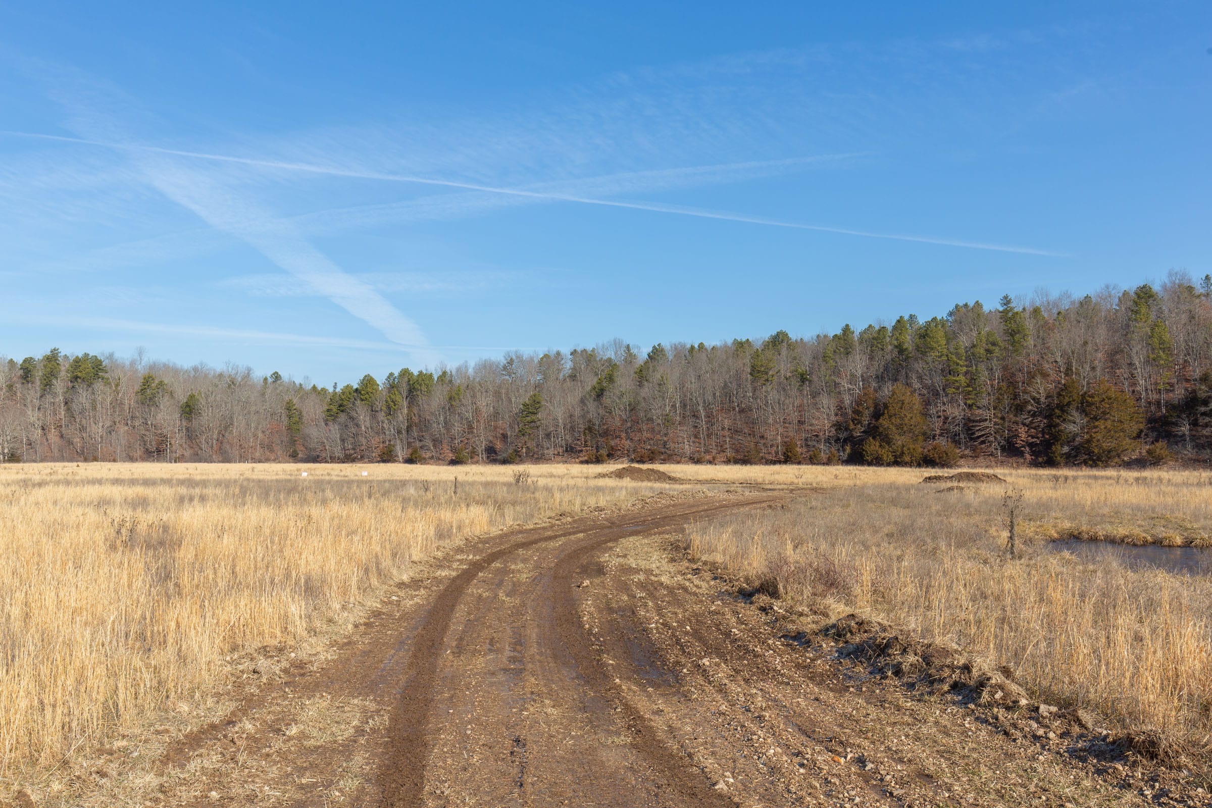 O’Connor Crossing Tract 32 photo 9