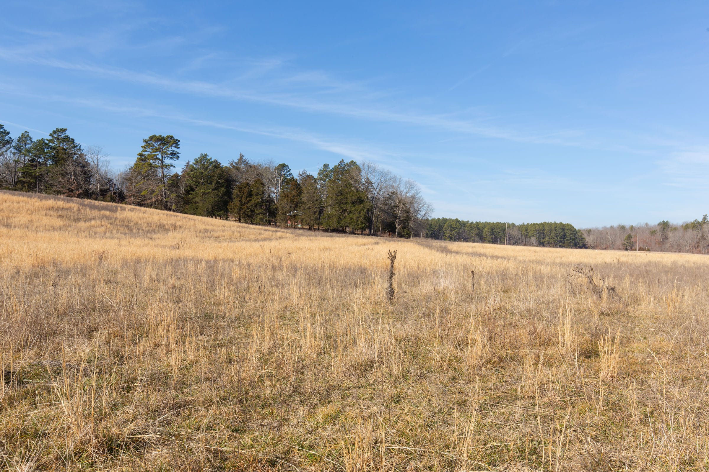 O’Connor Crossing Tract 32 photo 7
