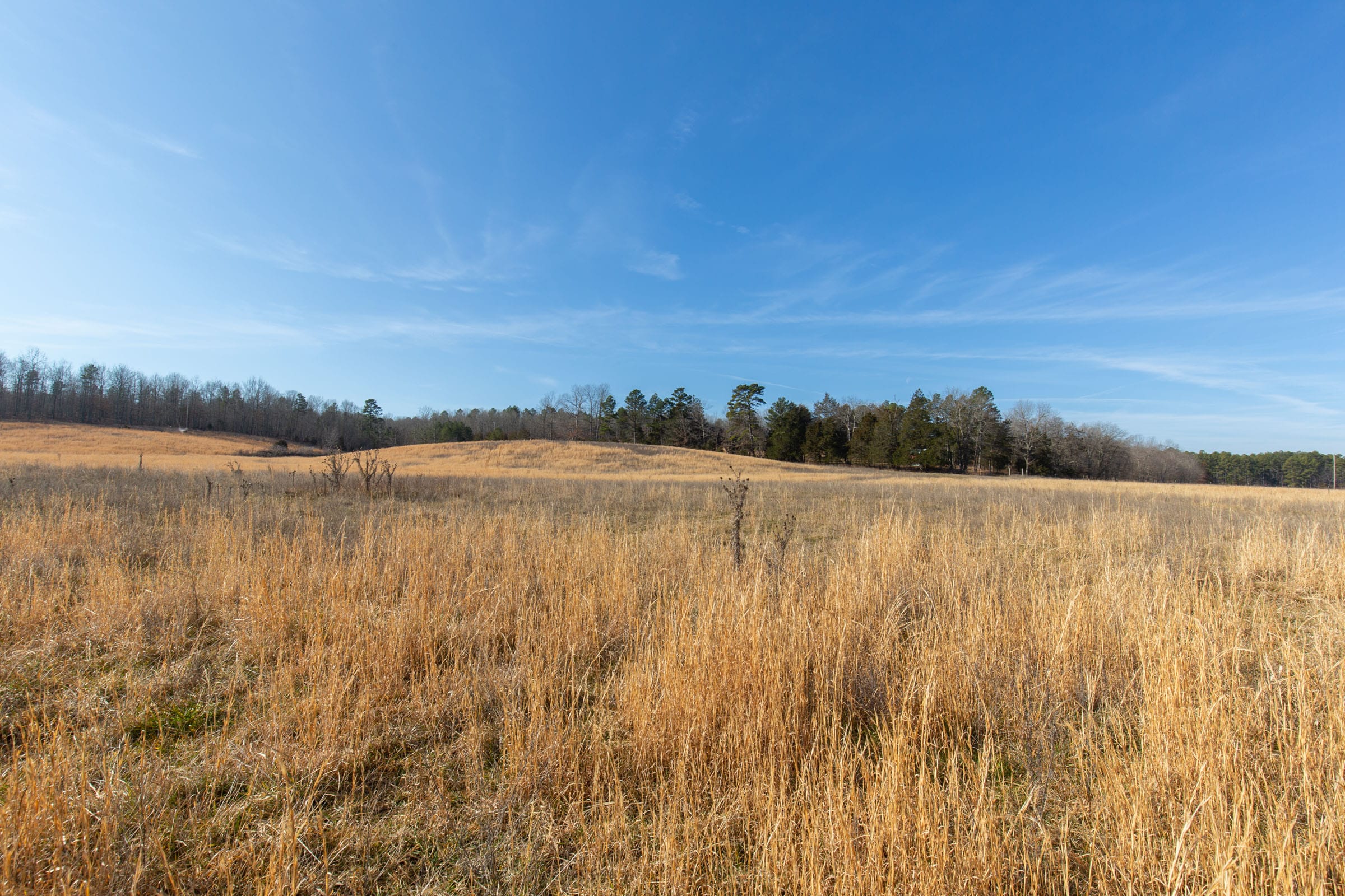 O’Connor Crossing Tract 32 photo 6
