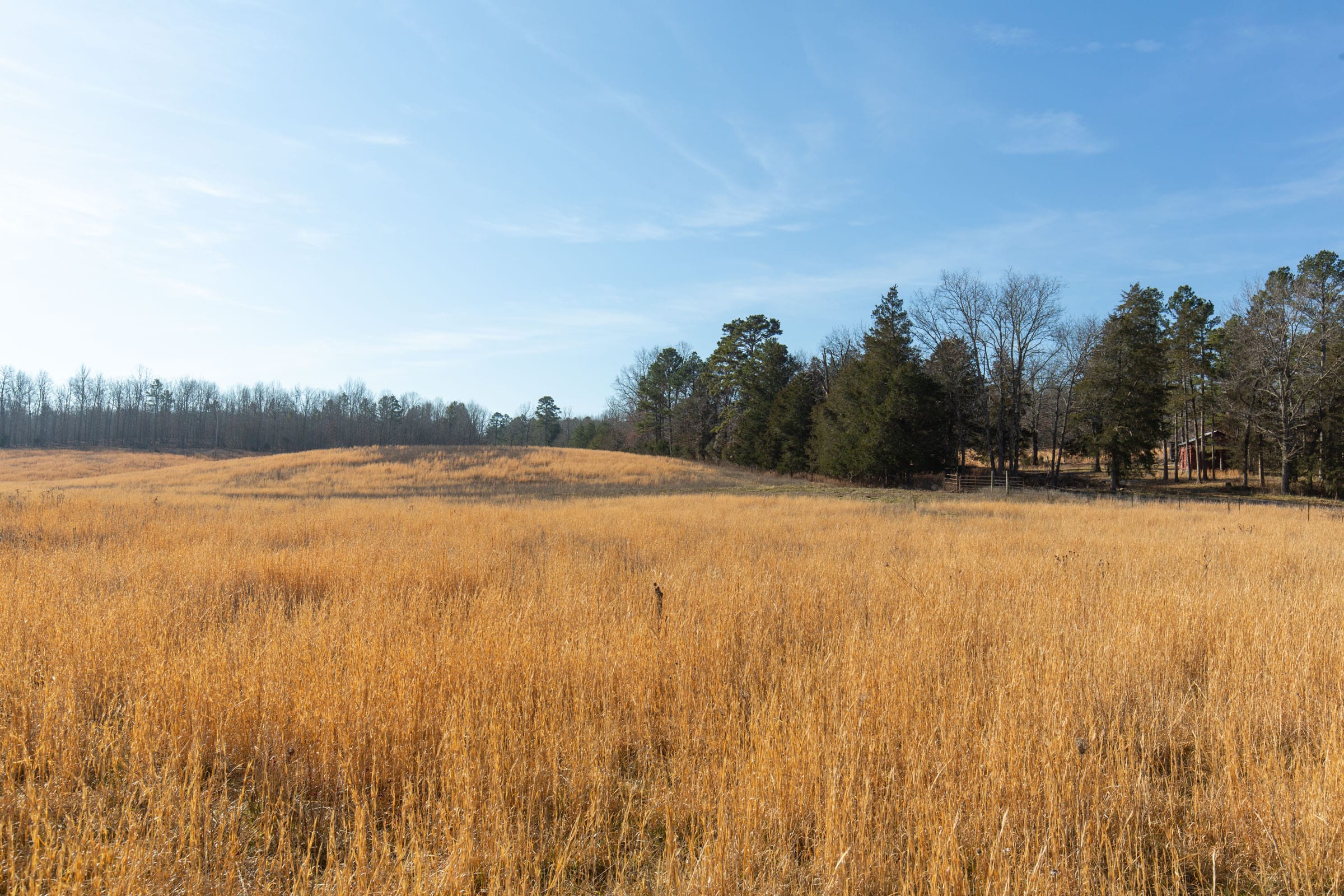 O’Connor Crossing Tract 32 photo 10