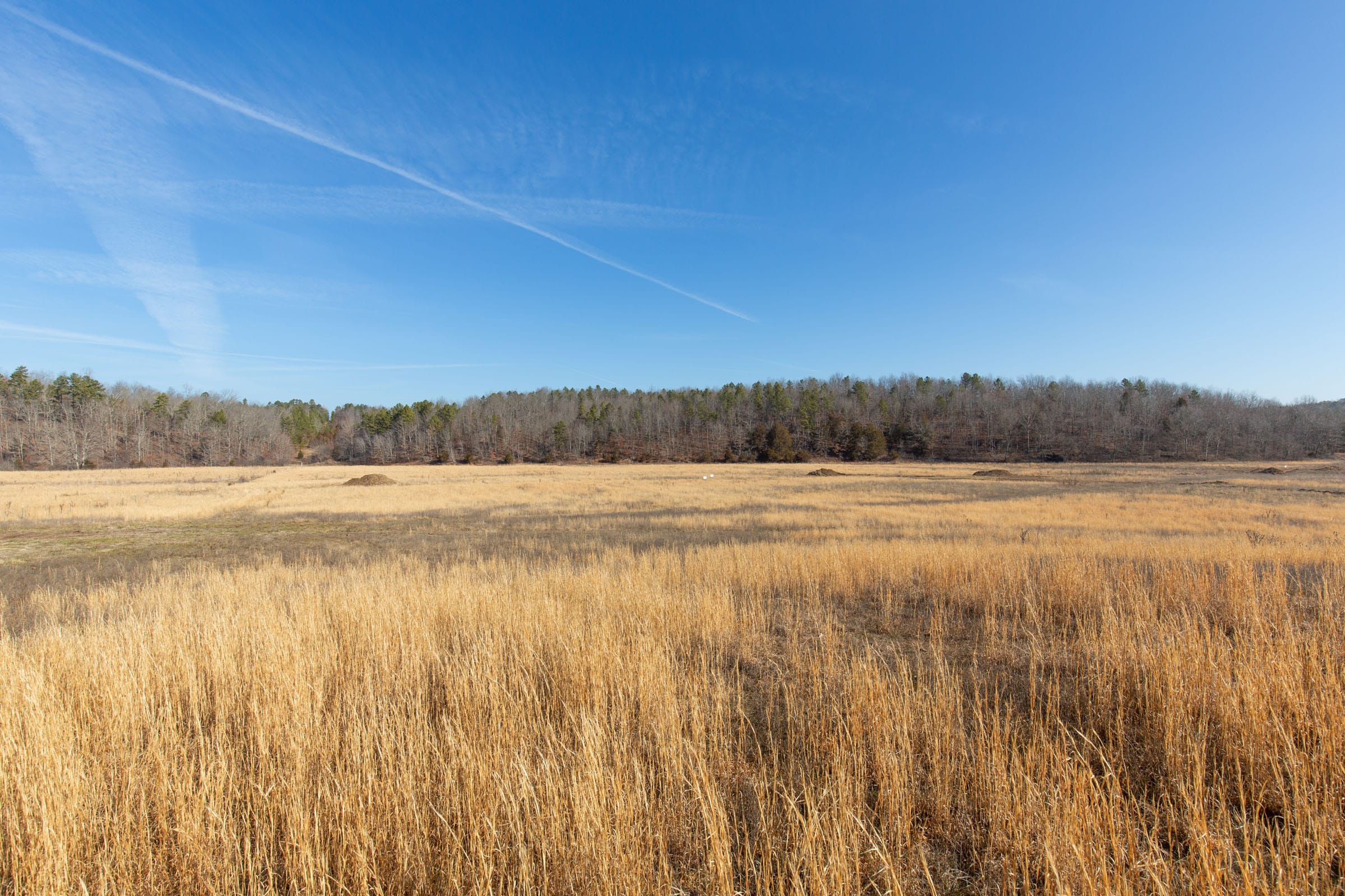 O’Connor Crossing Tract 32 photo 12