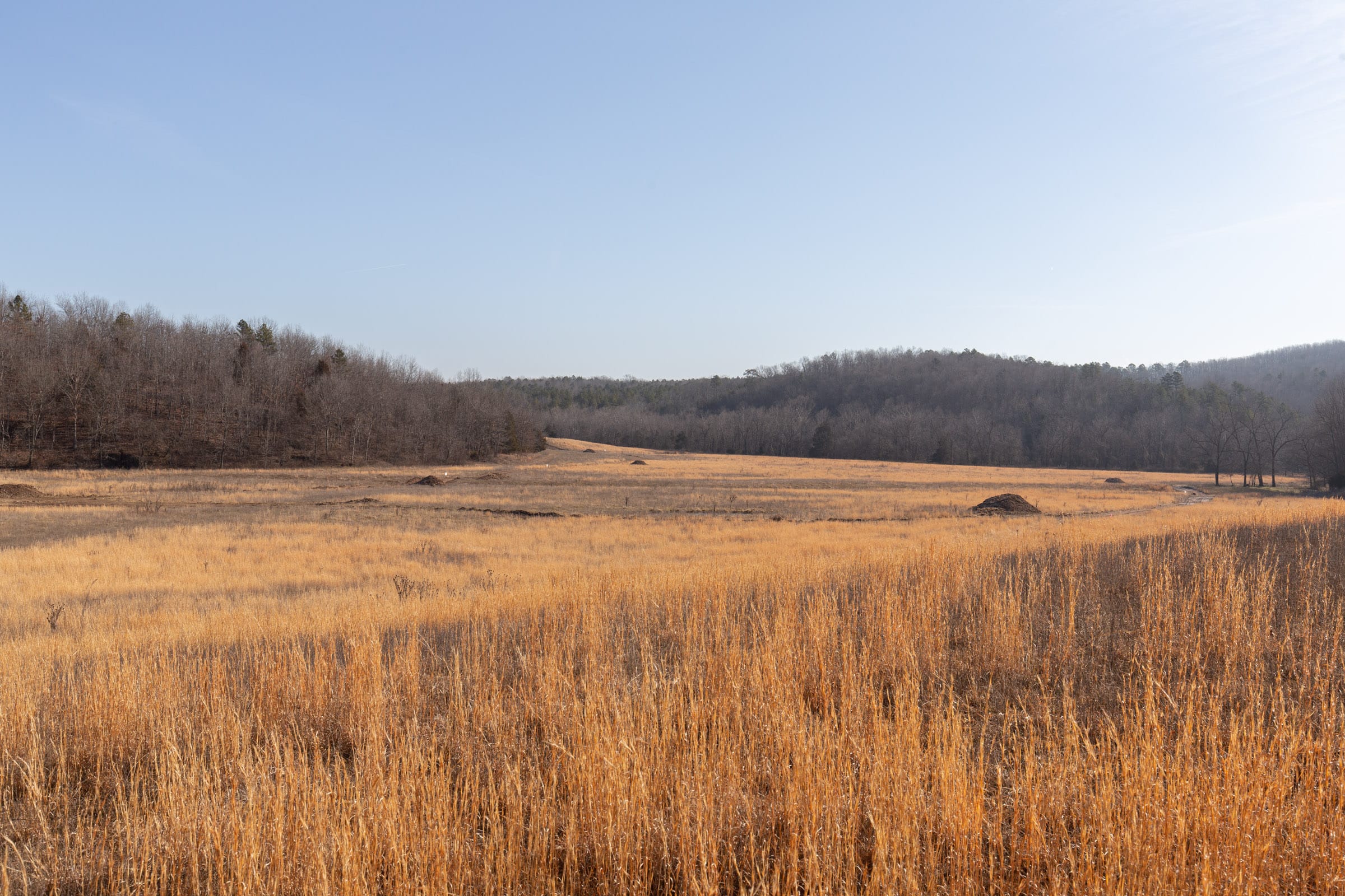 O’Connor Crossing Tract 32 photo 11