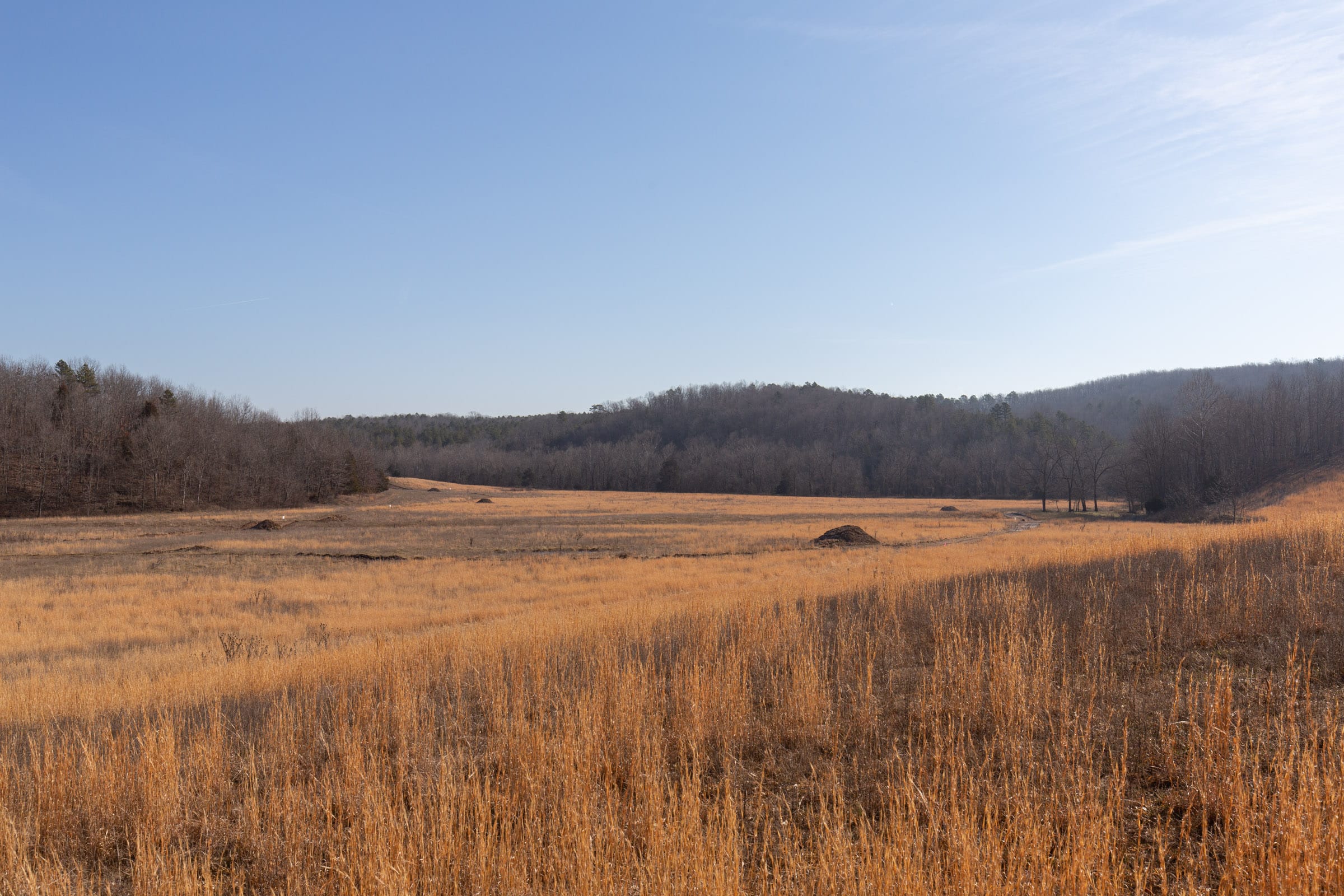 O’Connor Crossing Tract 32 photo 13