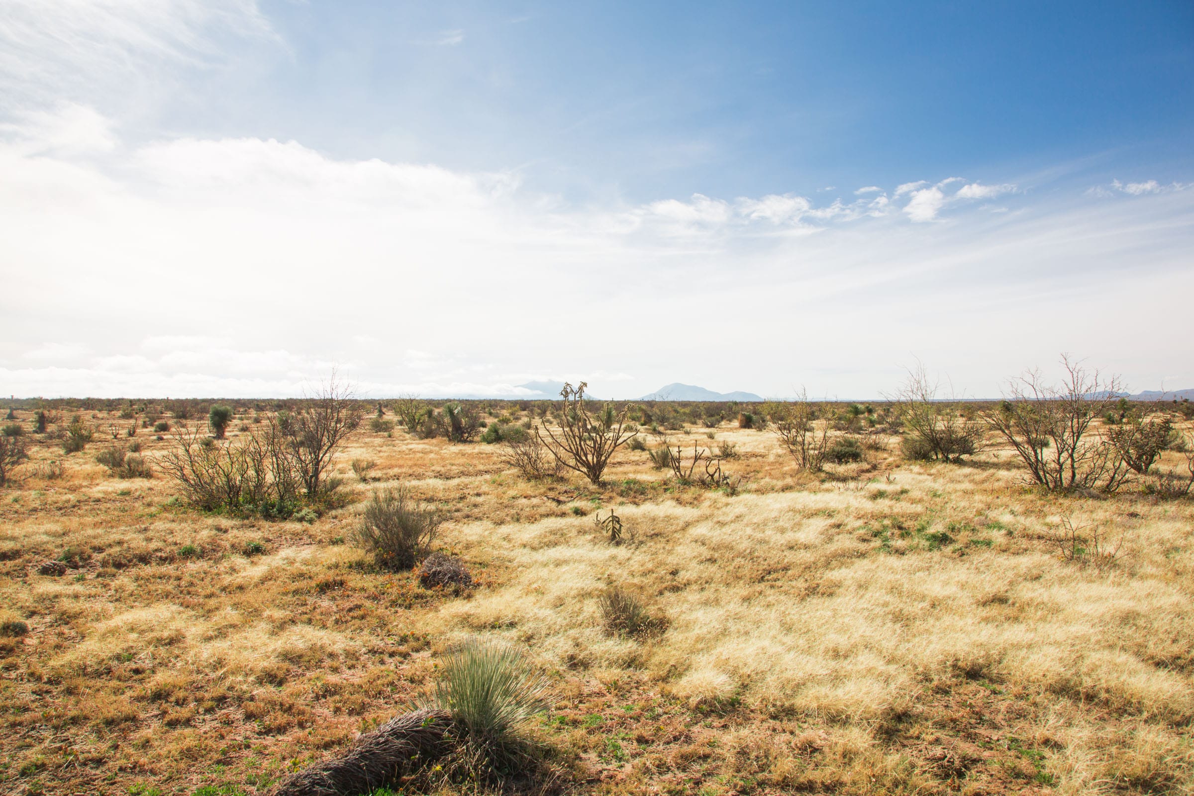 Sunset Ranches Tract 2 photo 6