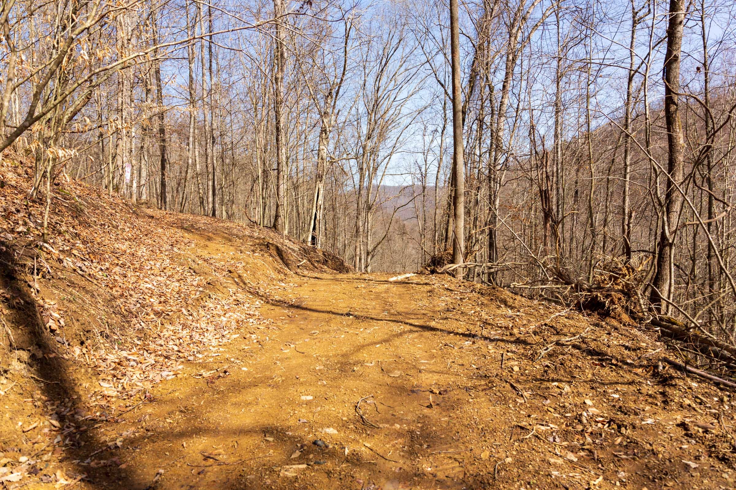 Blackstone Mountain Phase II Tract 80 photo 6
