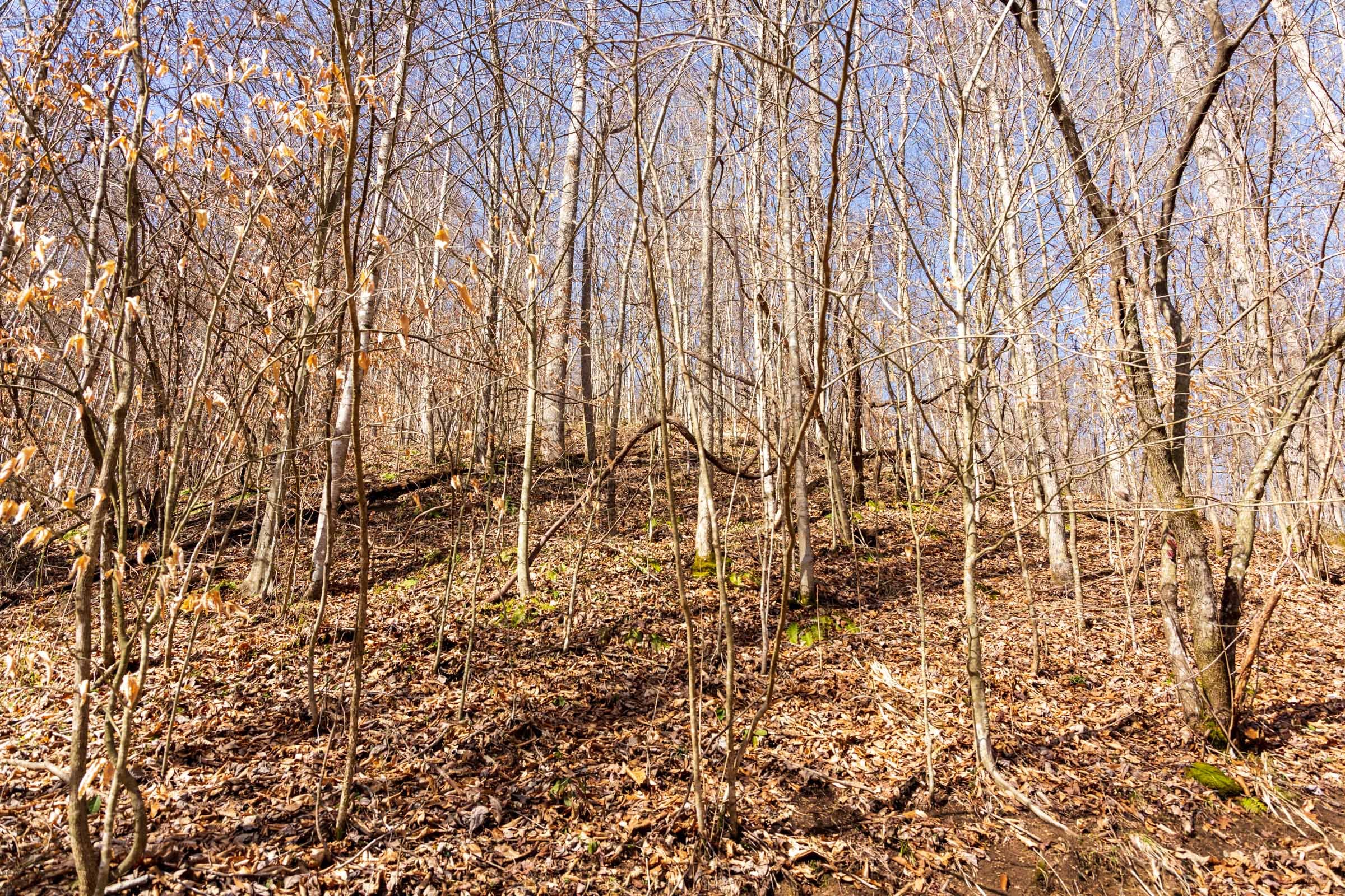 Blackstone Mountain Phase II Tract 80 photo 2