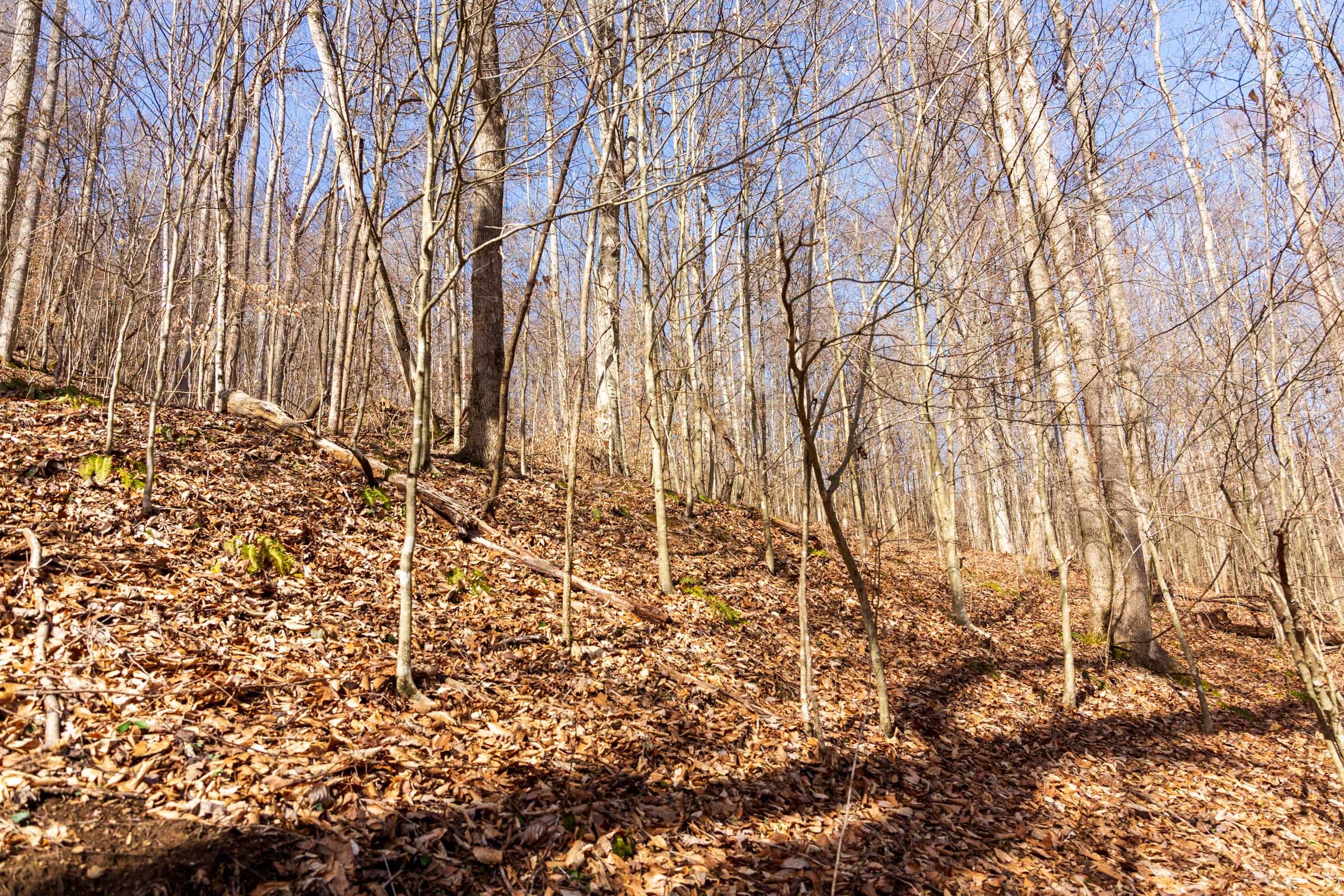 Blackstone Mountain Phase II Tract 80 photo 3