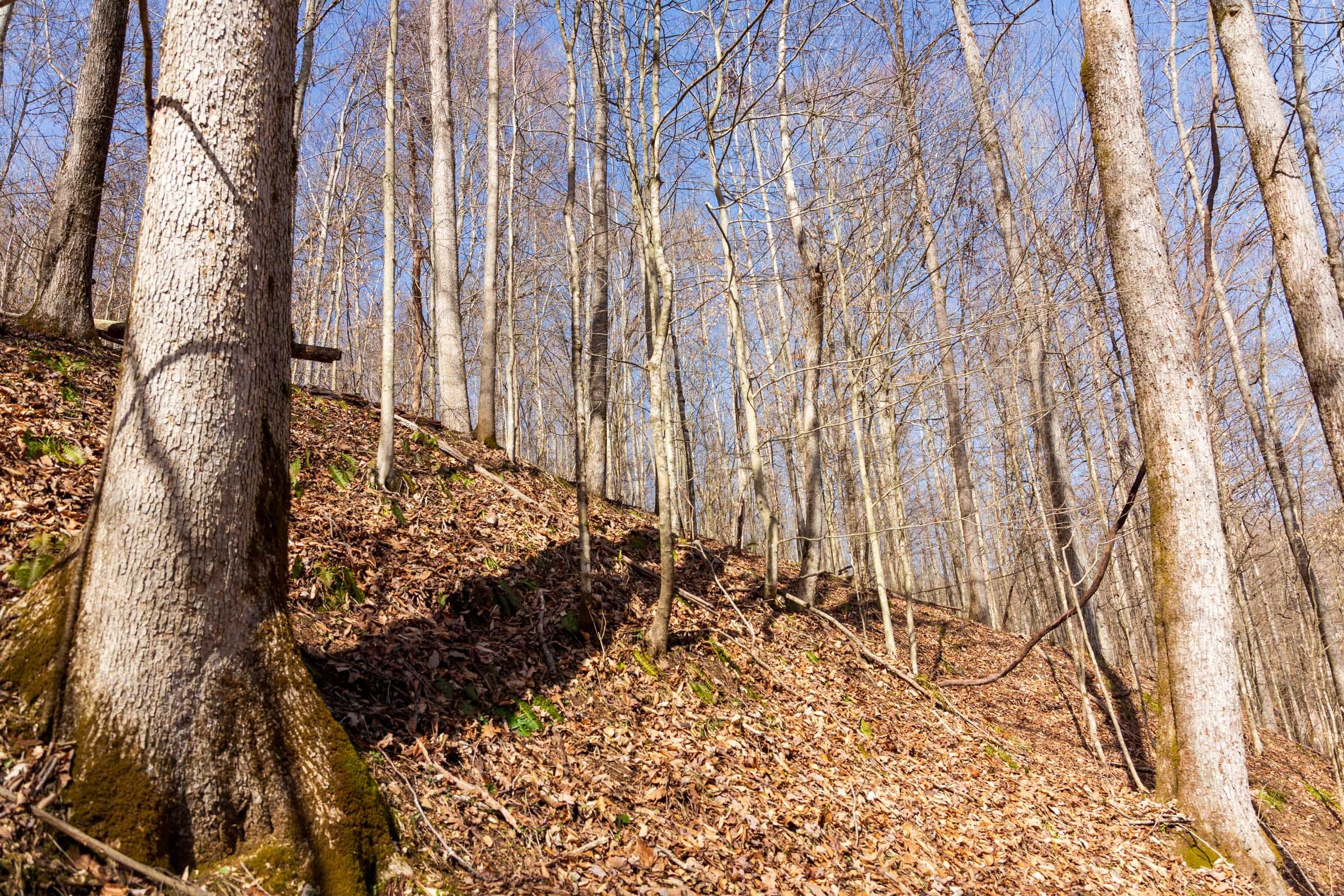 Blackstone Mountain Phase II Tract 80 photo 5