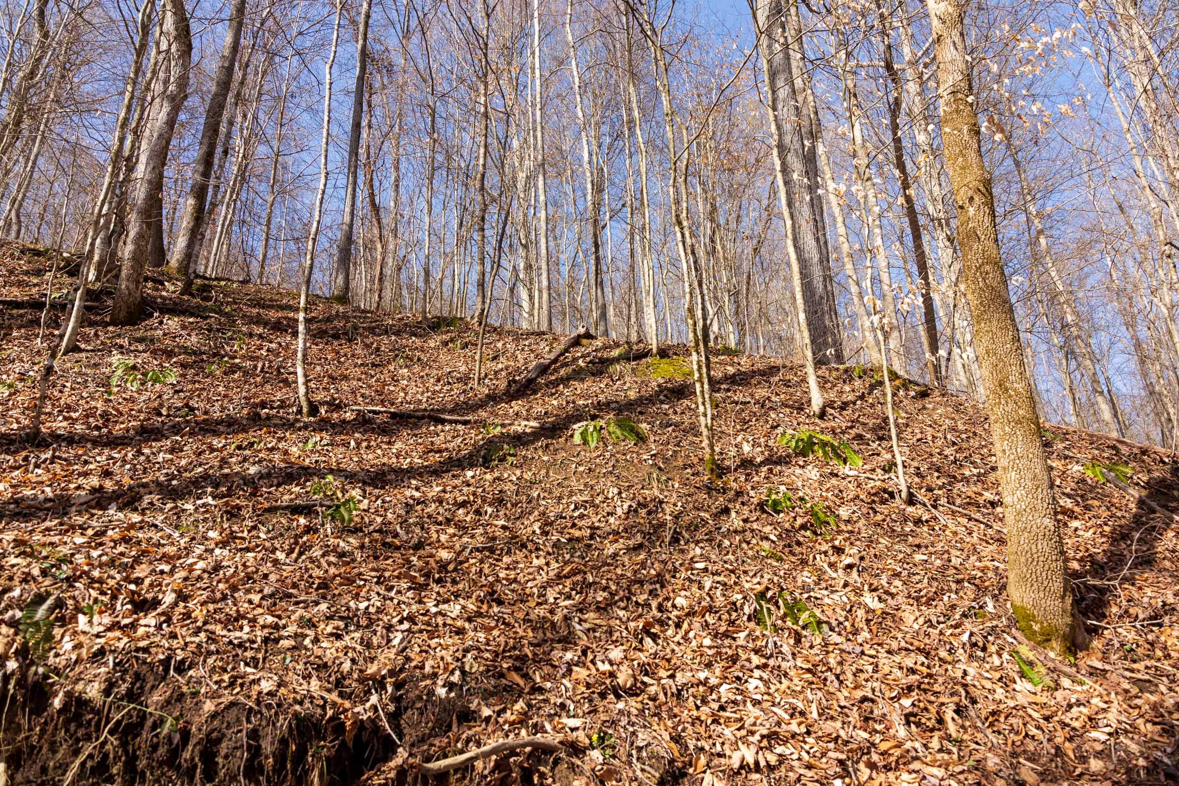 Blackstone Mountain Phase II Tract 80 photo 7