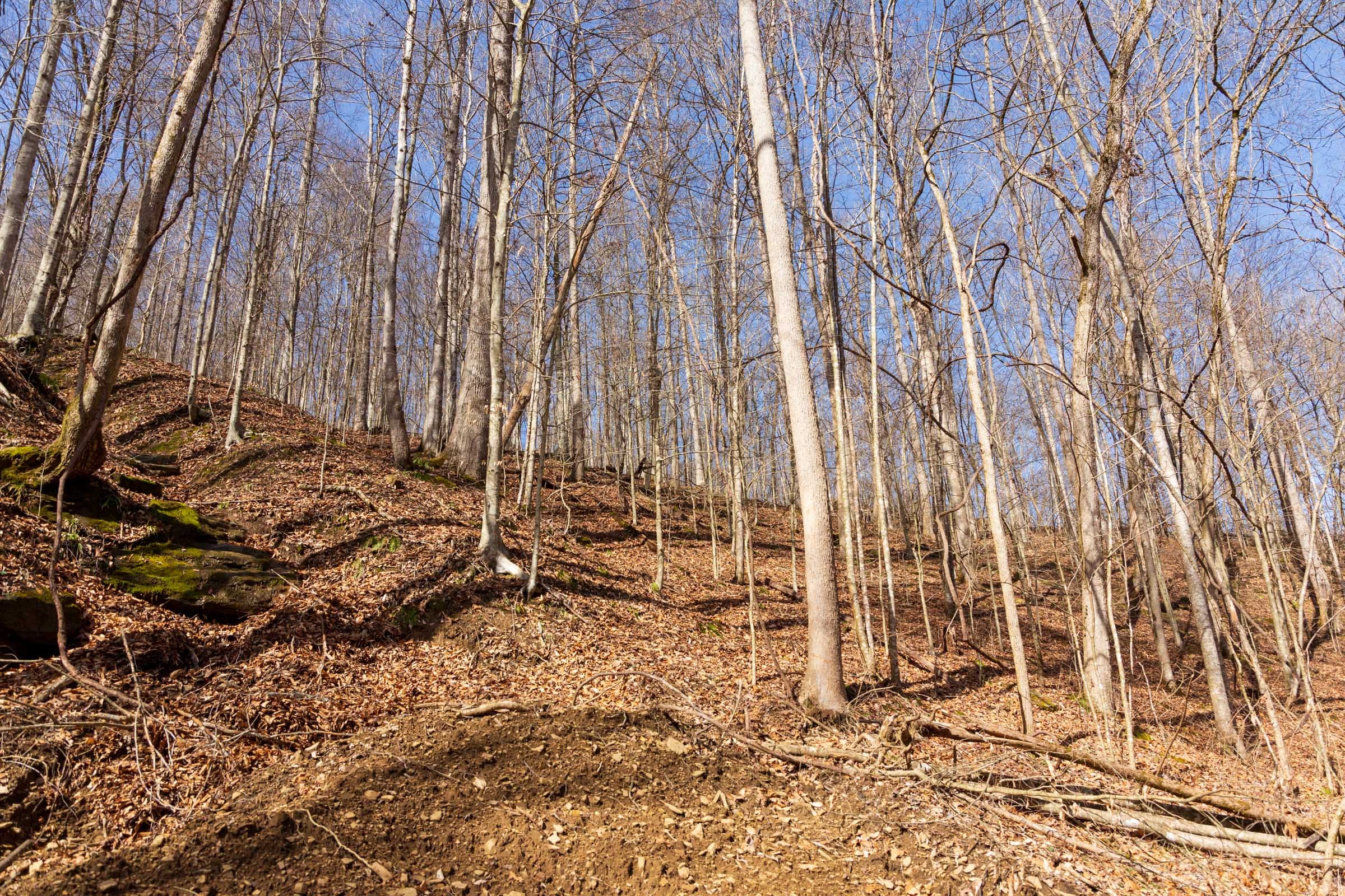 Blackstone Mountain Phase II Tract 80 photo 9