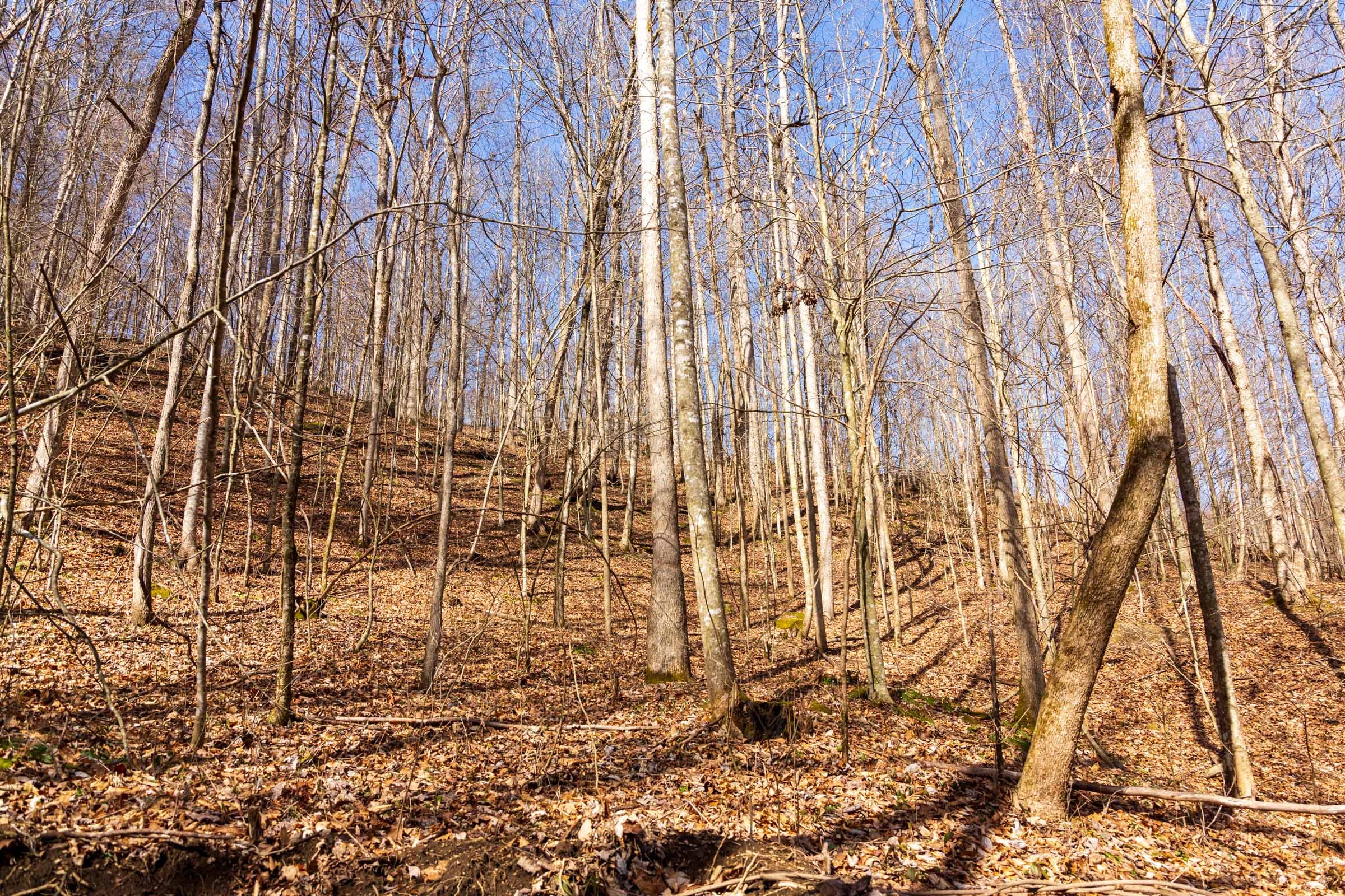 Blackstone Mountain Phase II Tract 80 photo 11