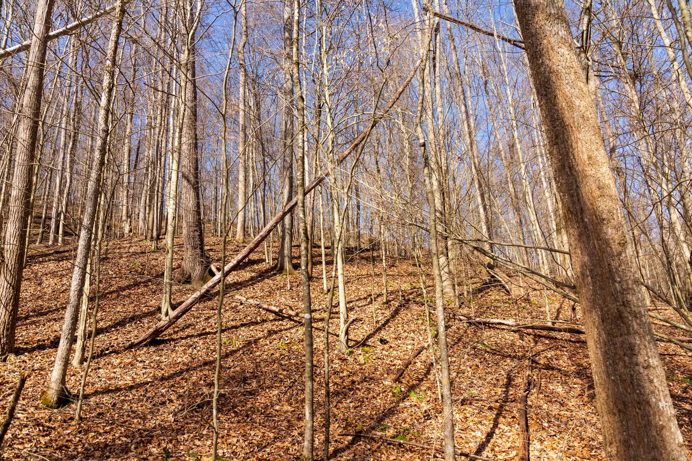 Blackstone Mountain Phase II Tract 80 photo 12