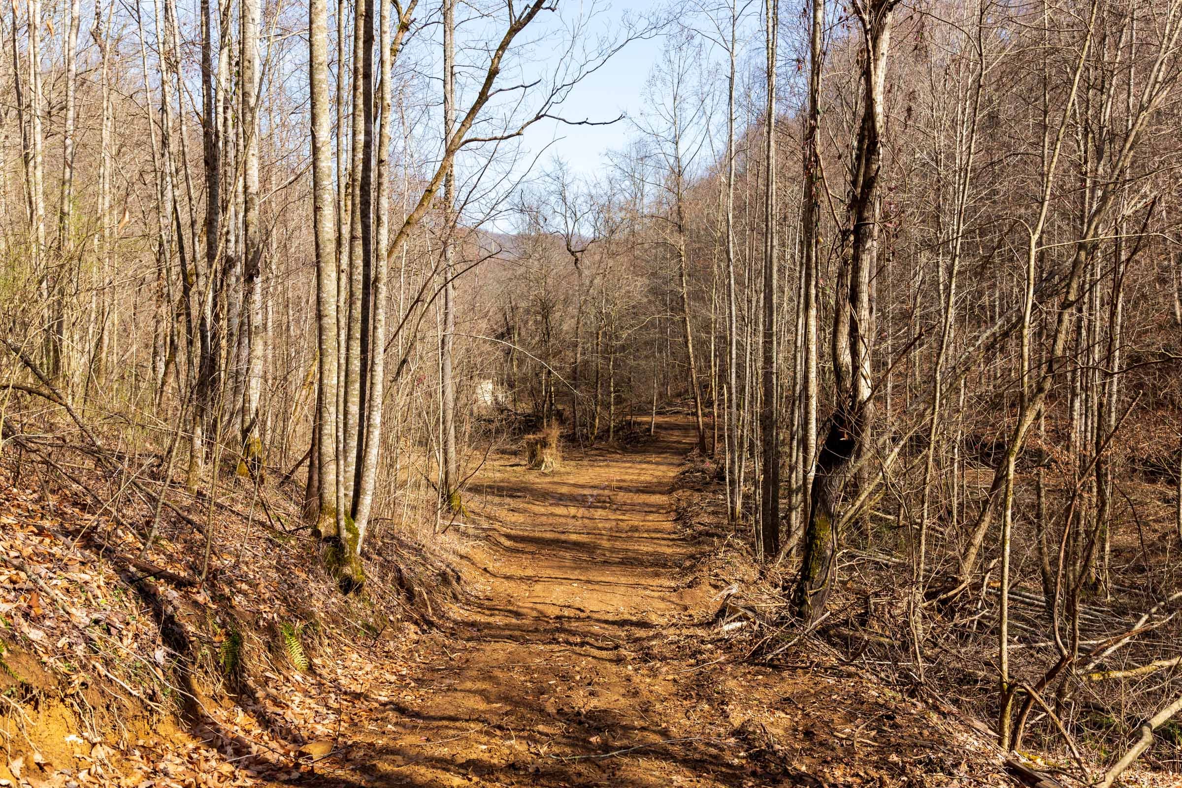 Blackstone Mountain Phase II Tract 80 photo 10