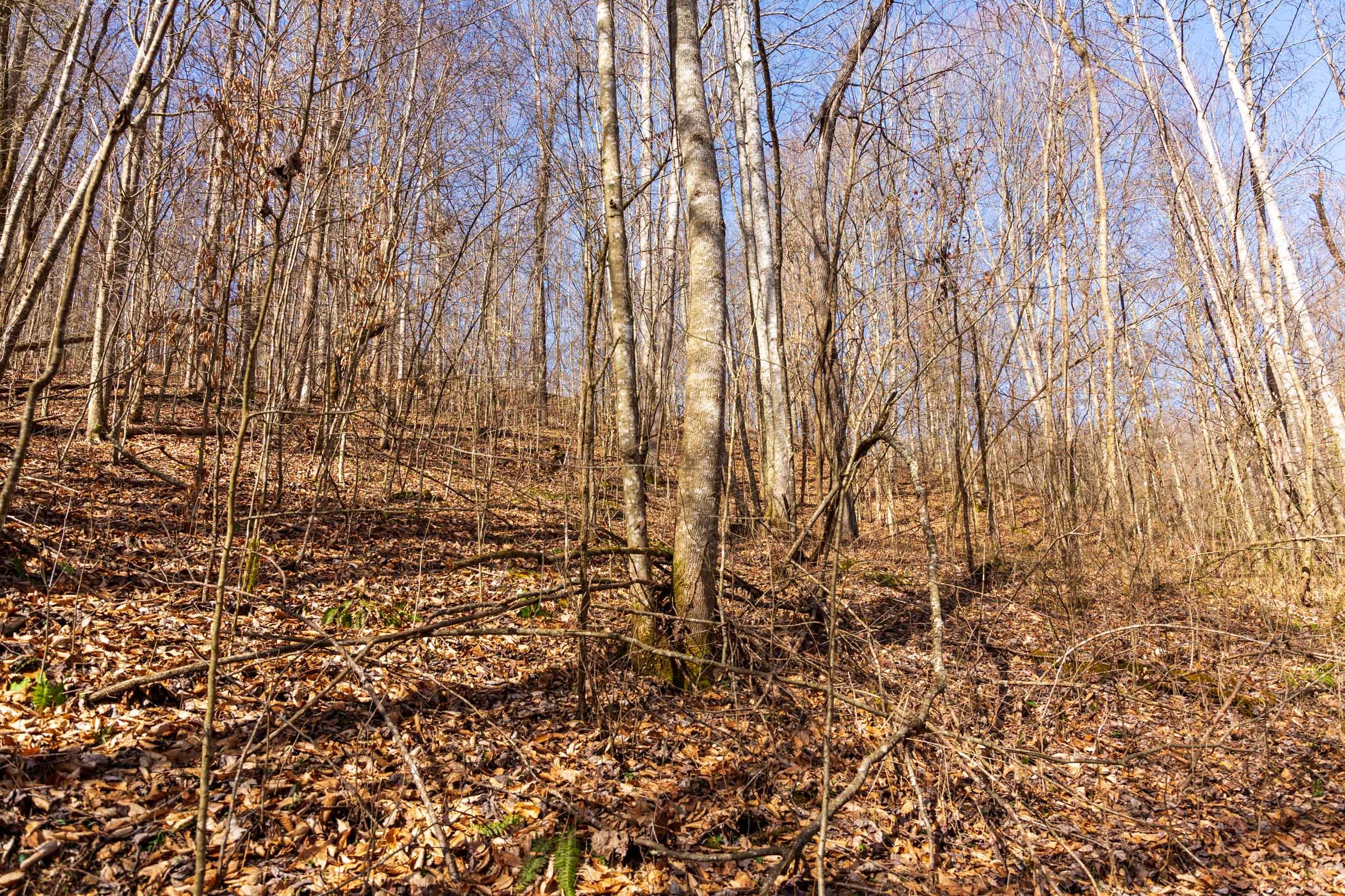 Blackstone Mountain Phase II Tract 80 photo 13