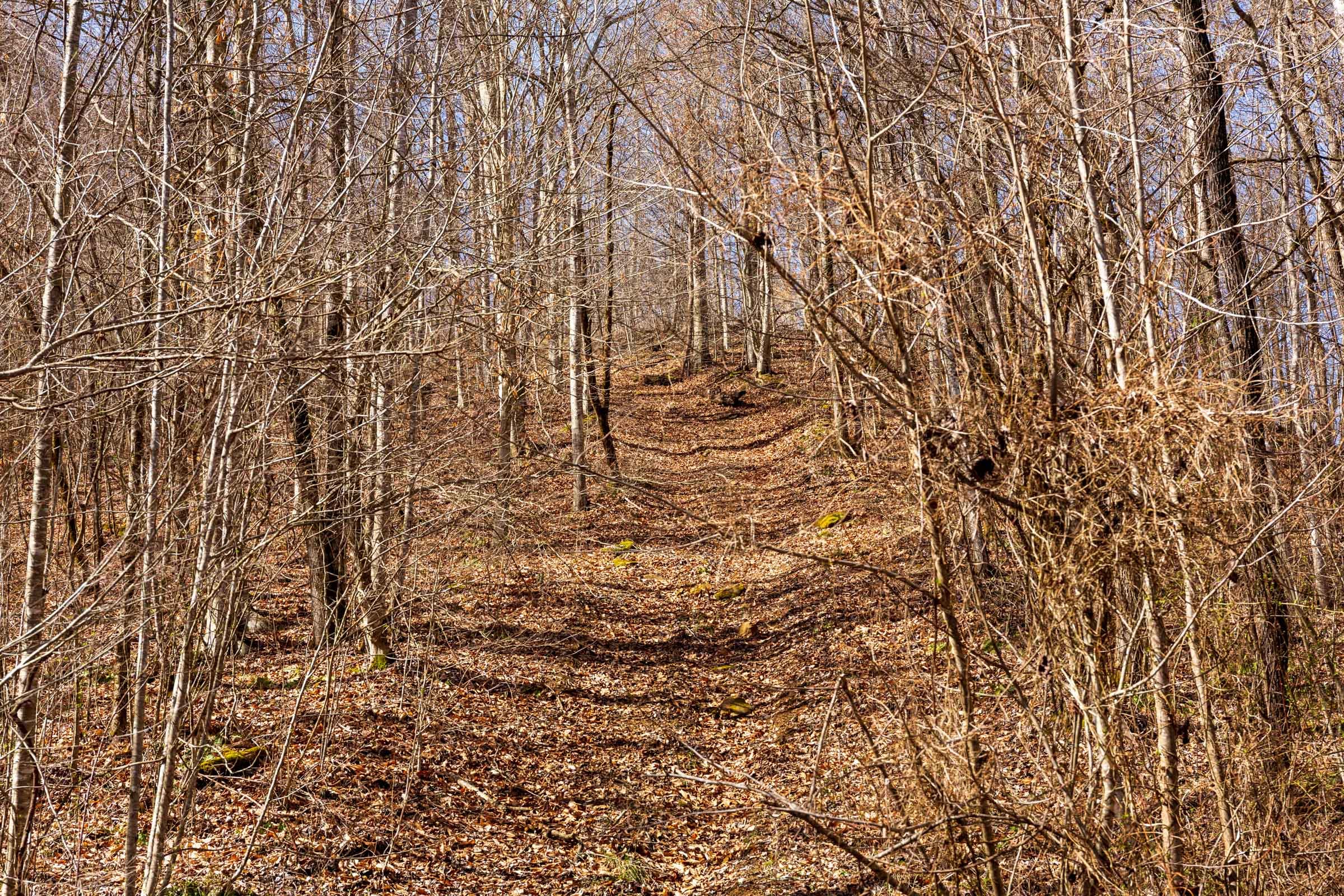 Blackstone Mountain Phase II Tract 80 photo 14
