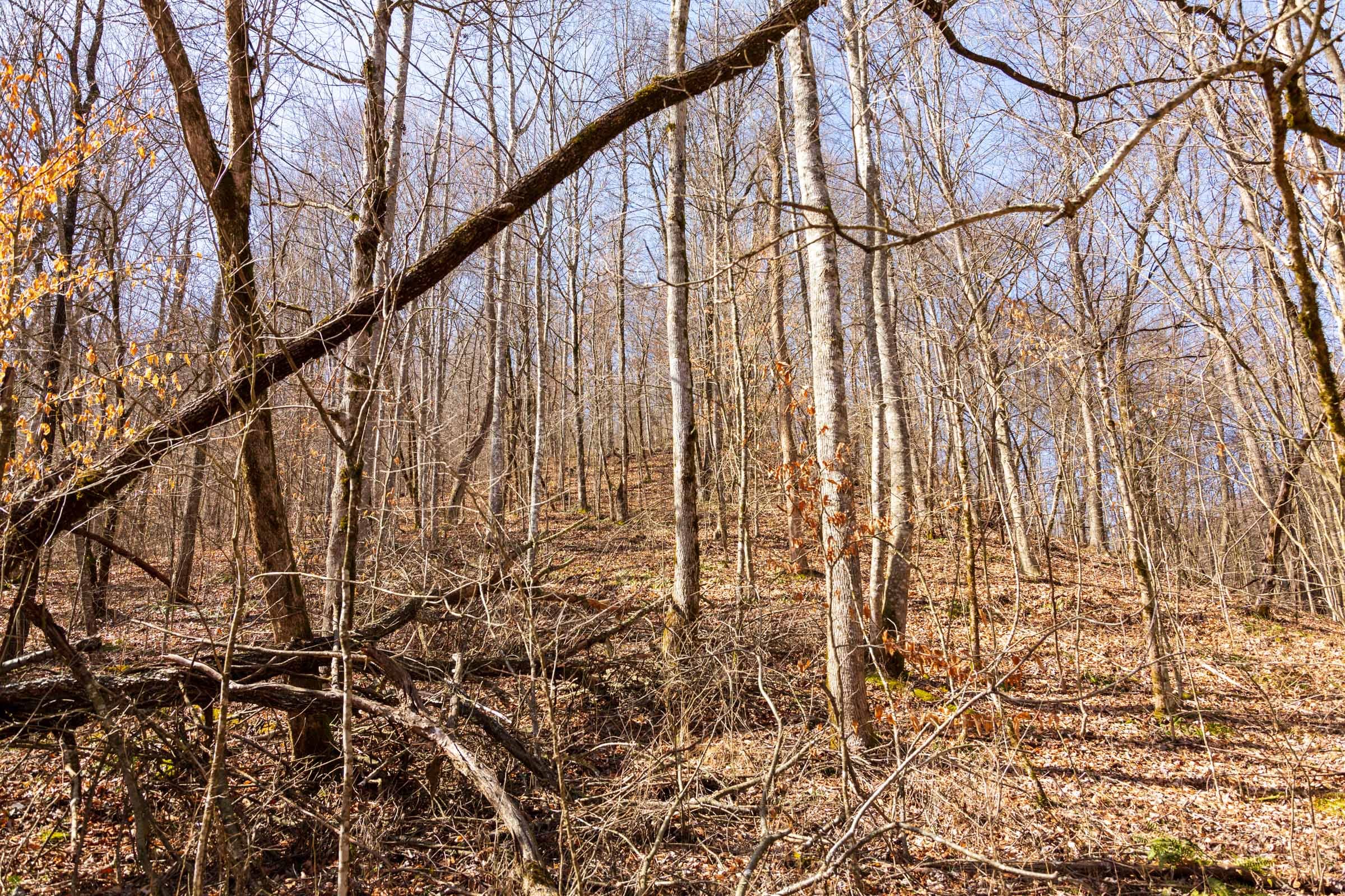 Blackstone Mountain Phase II Tract 80 photo 15