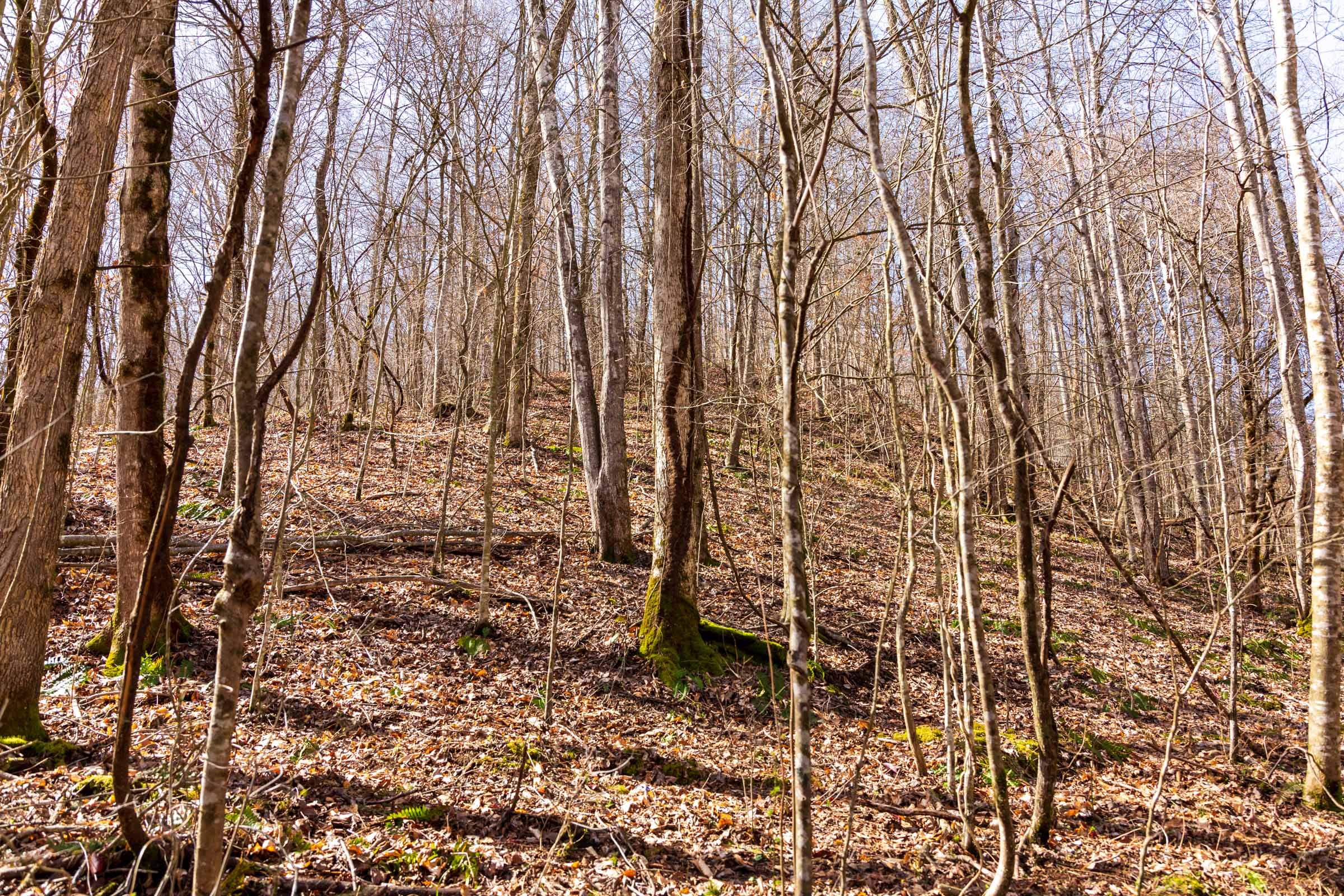 Blackstone Mountain Phase II Tract 80 photo 16