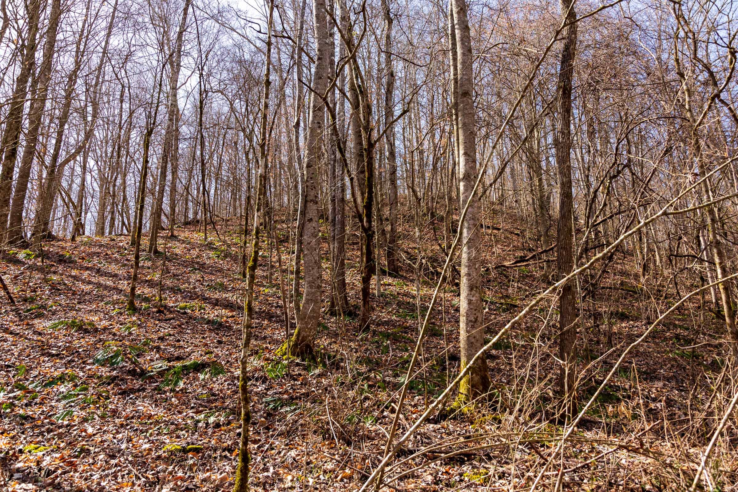 Blackstone Mountain Phase II Tract 80 photo 18