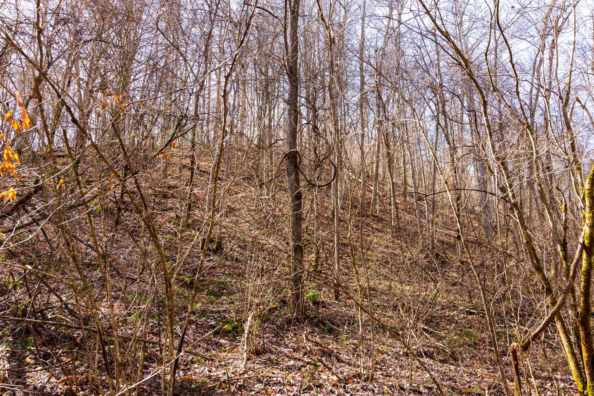 Blackstone Mountain Phase II Tract 80 photo 20