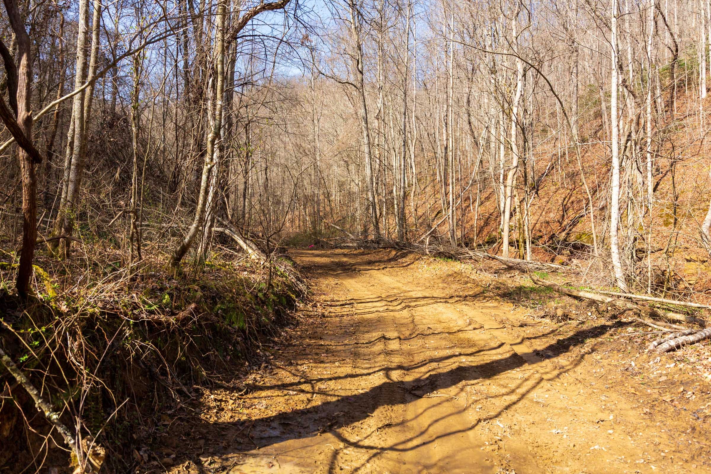Blackstone Mountain Phase II Tract 80 photo 17
