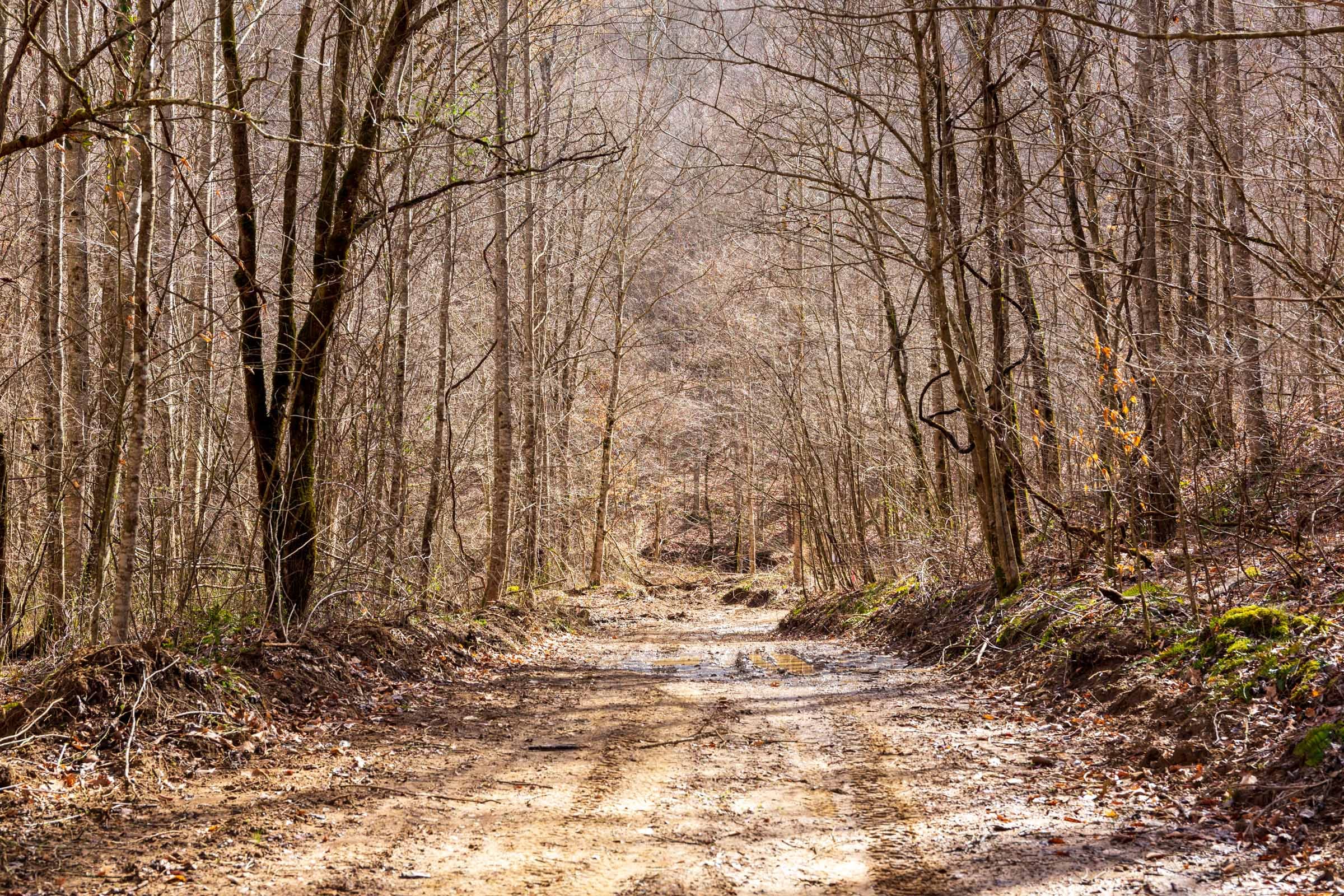 Blackstone Mountain Phase II Tract 80 photo 19