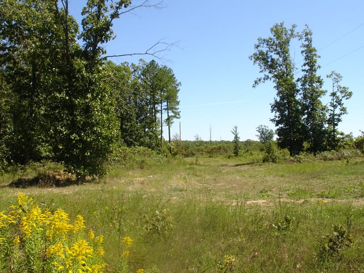 Ranches Of Montauk Park Tract 3 photo 3
