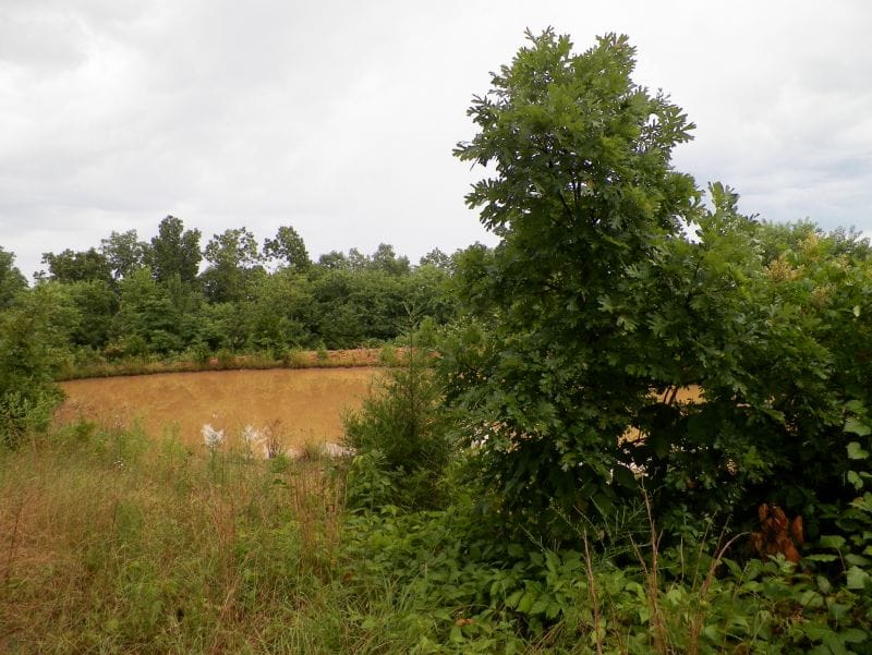 Ranches Of Montauk Park Tract 3 photo 5