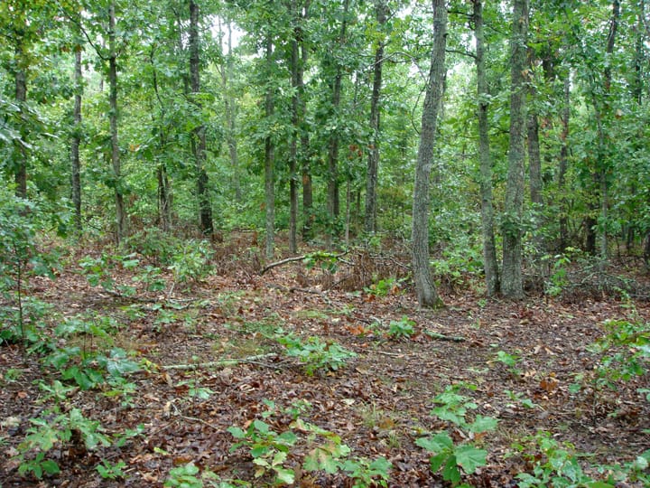 Ranches Of Montauk Park Tract 3 photo 11