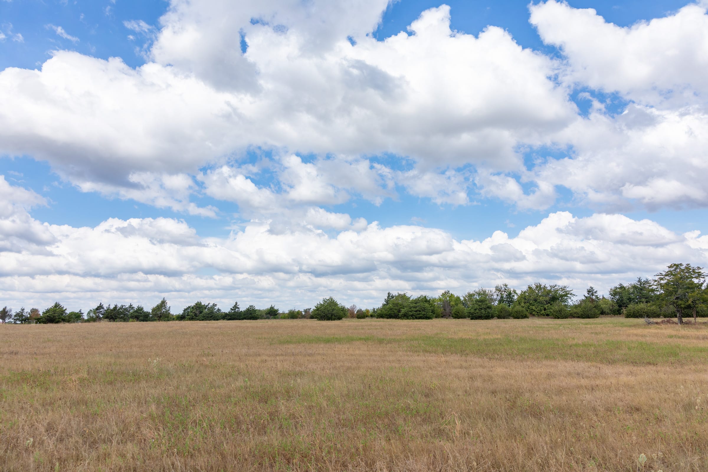 Wildflower Reserve Tract 3 photo 2
