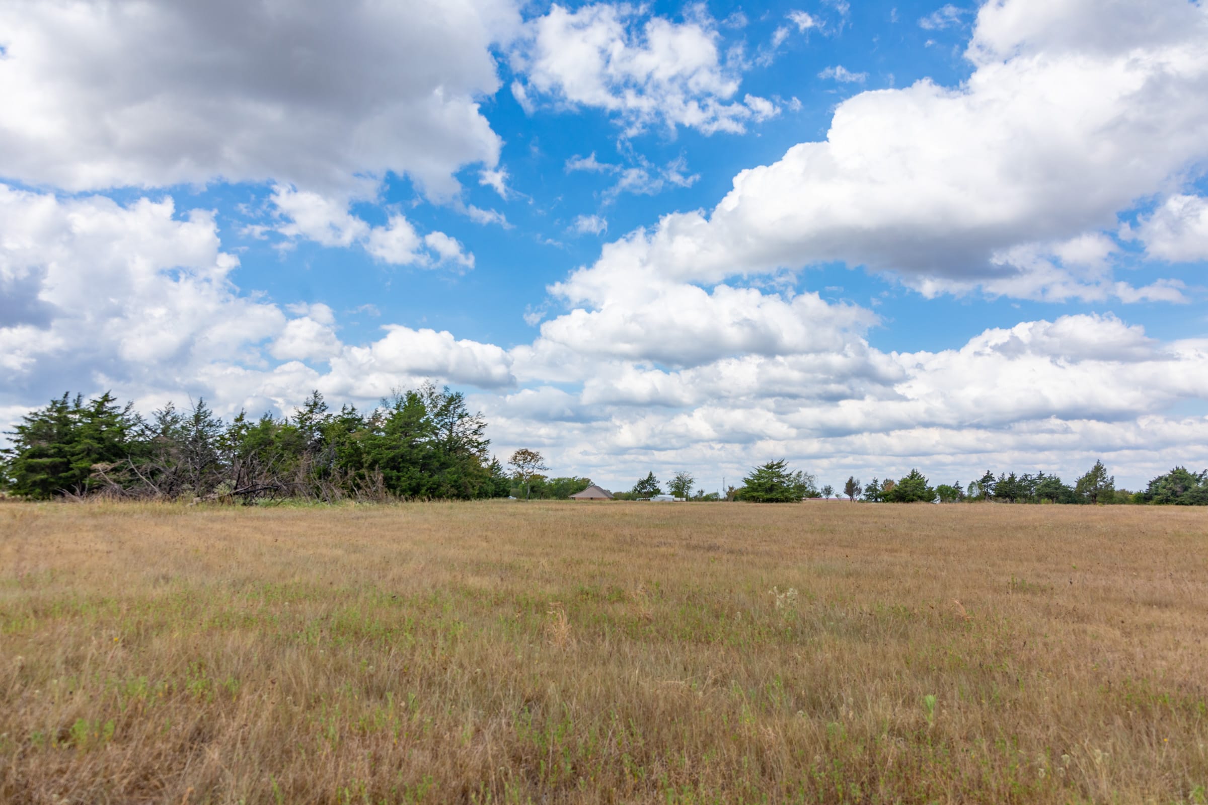 Wildflower Reserve Tract 3 photo 4