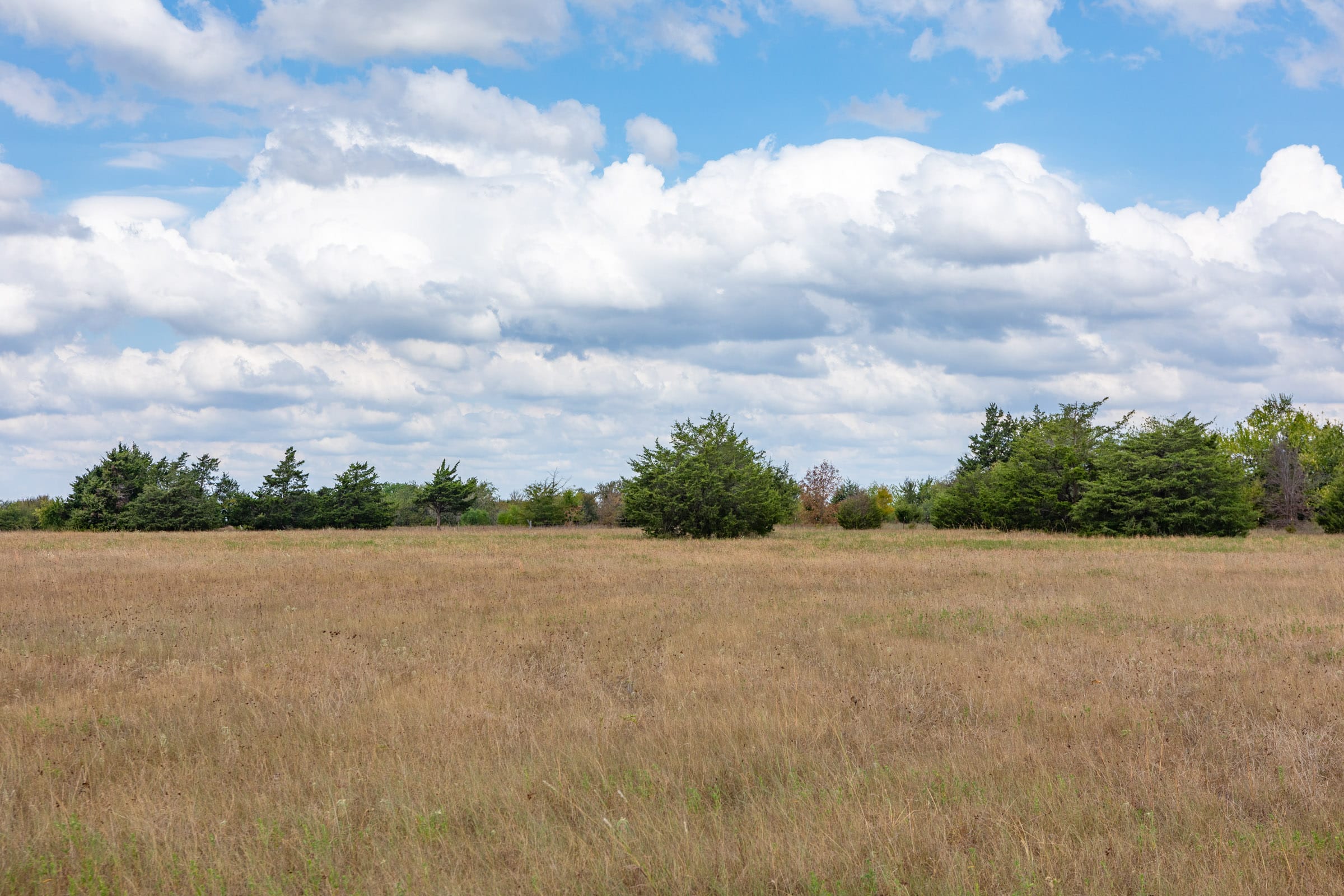 Wildflower Reserve Tract 3 photo 6