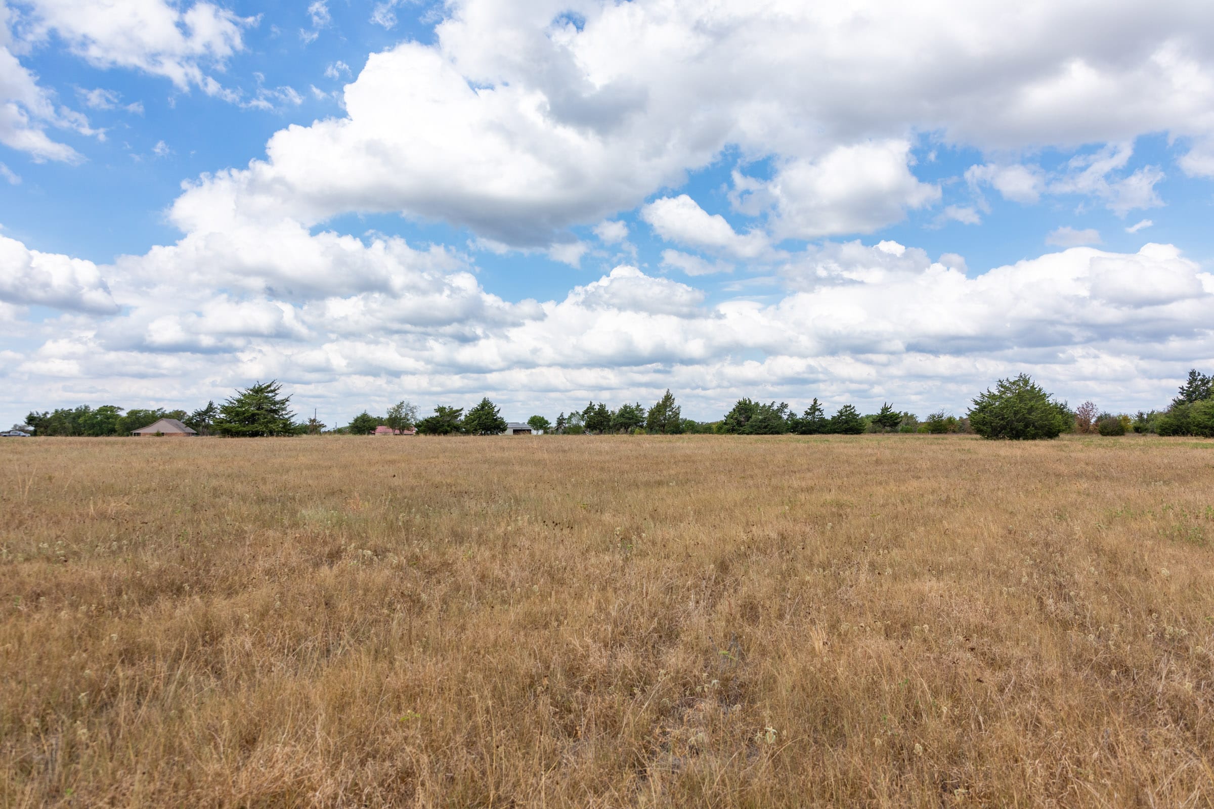 Wildflower Reserve Tract 3 photo 7