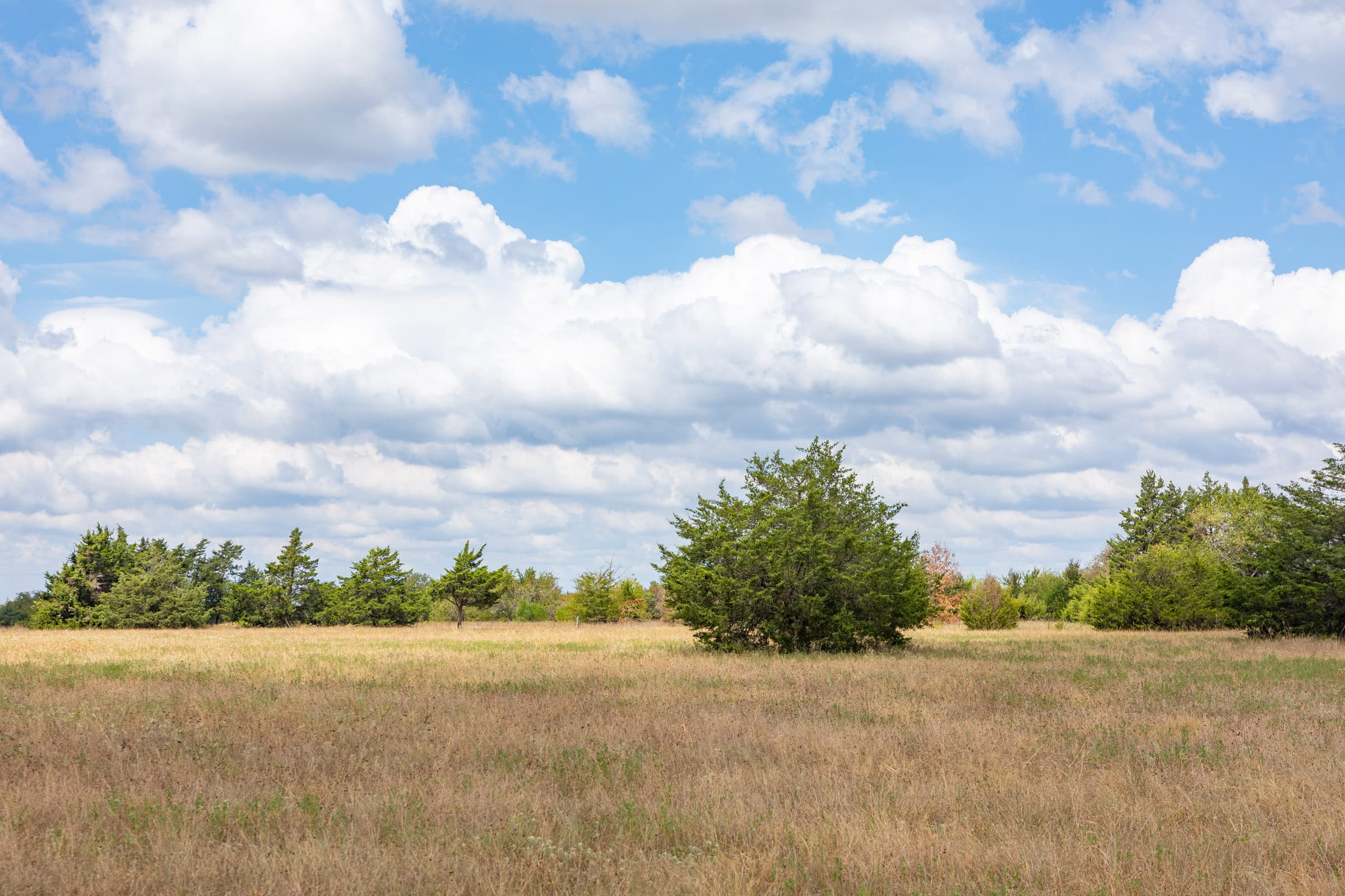 Wildflower Reserve Tract 3 photo 1