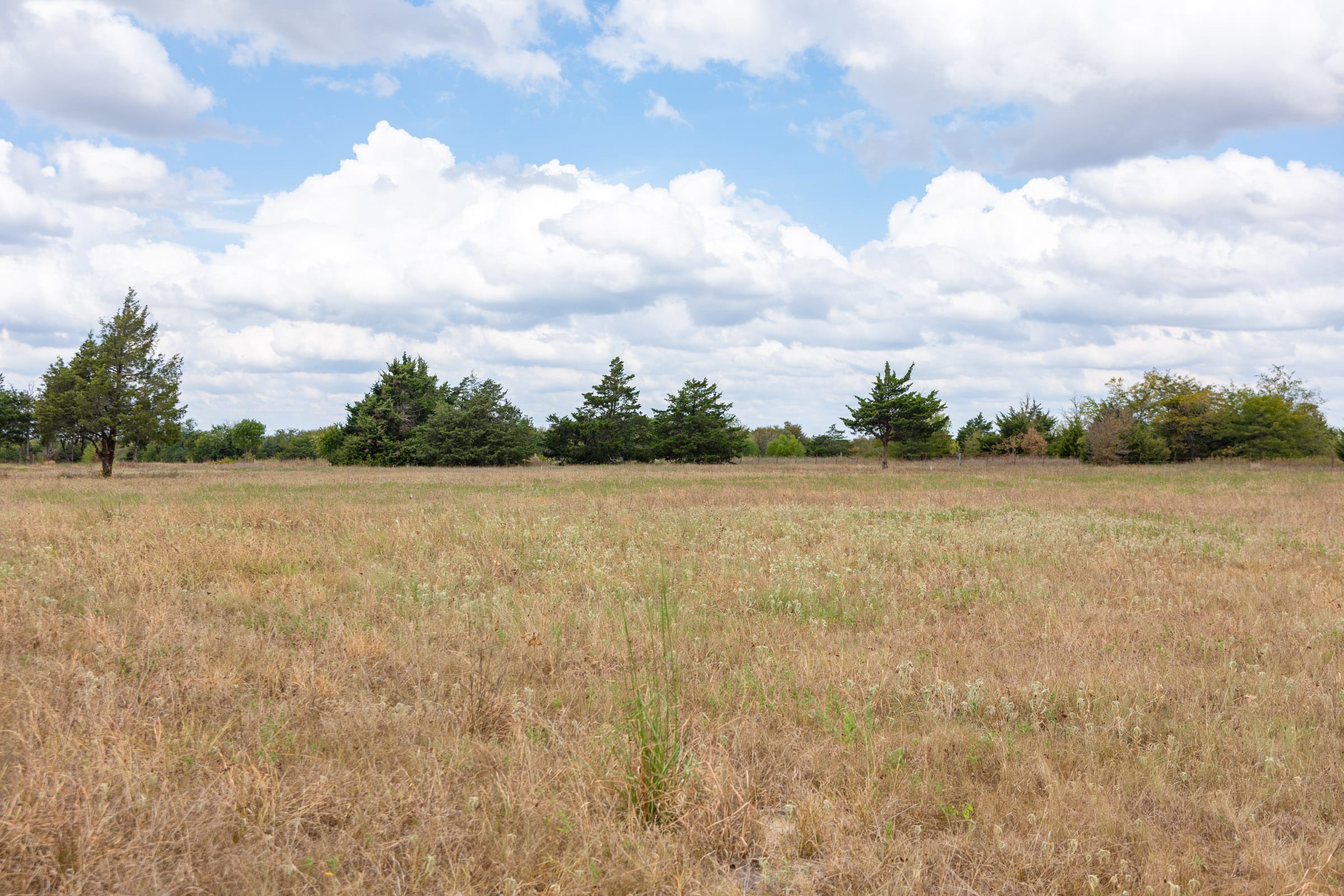 Wildflower Reserve Tract 3 photo 9