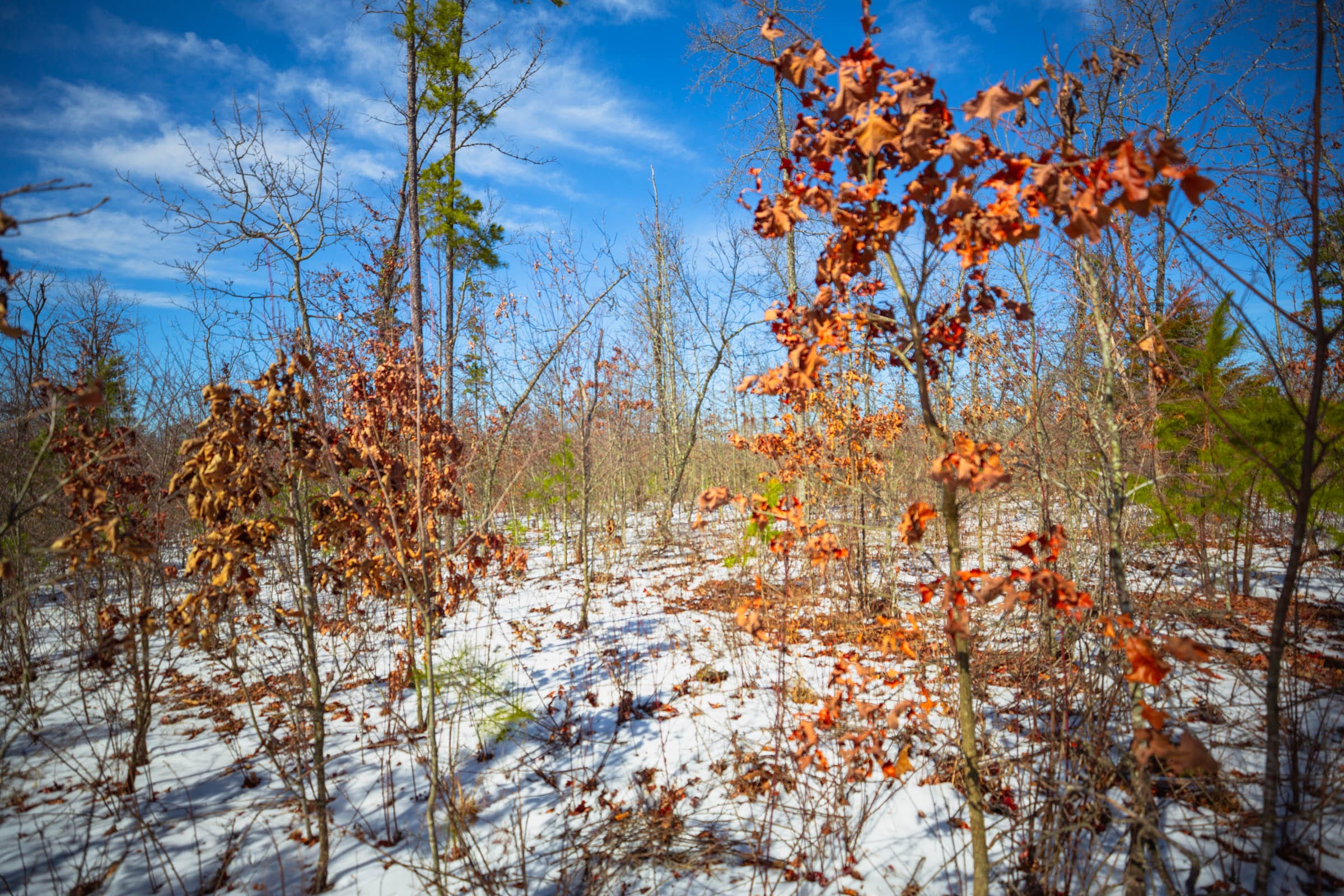 Sleepy Hollow Phase I Tract 59 photo 19