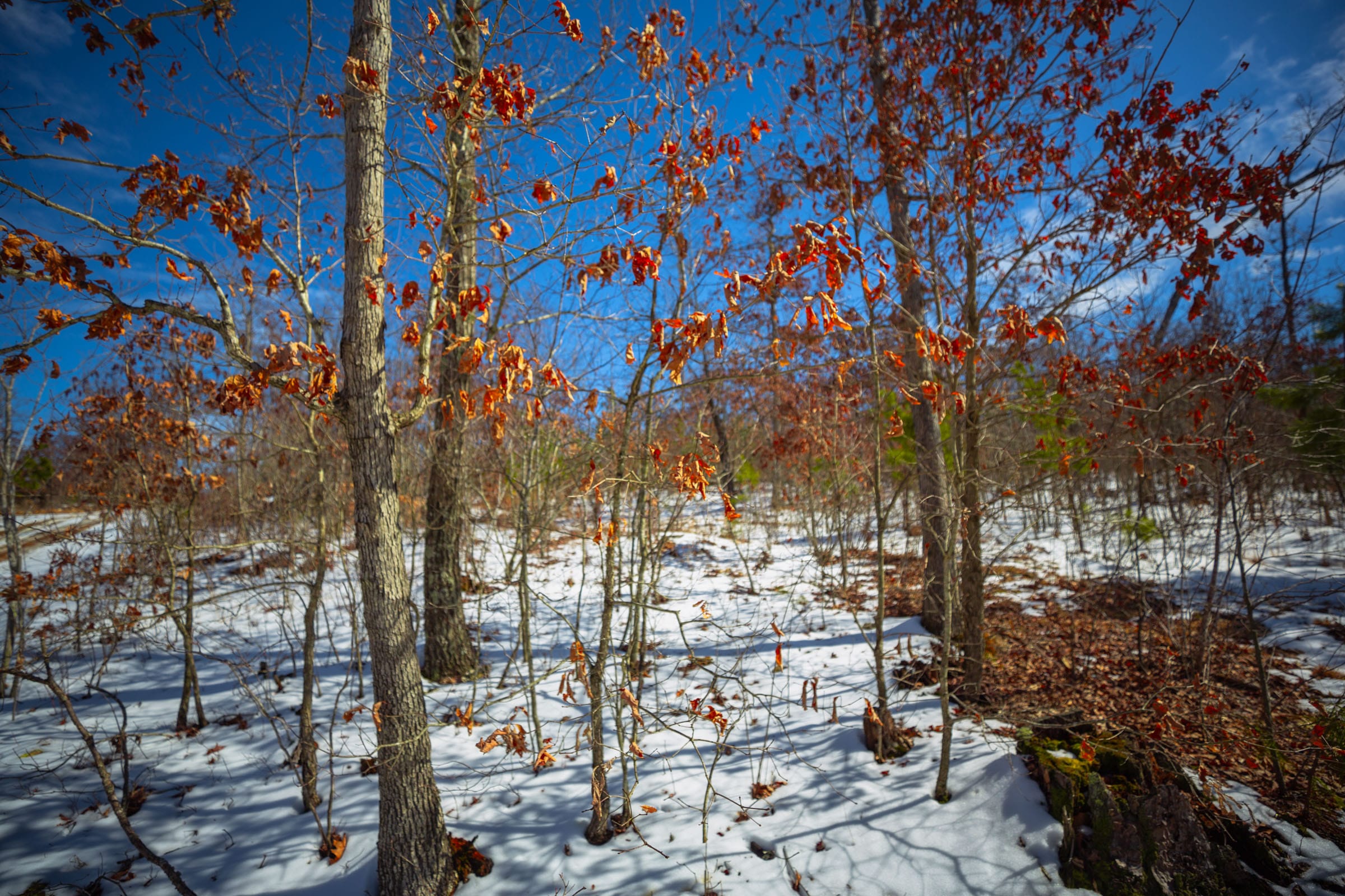 Sleepy Hollow Phase I Tract 59 photo 18