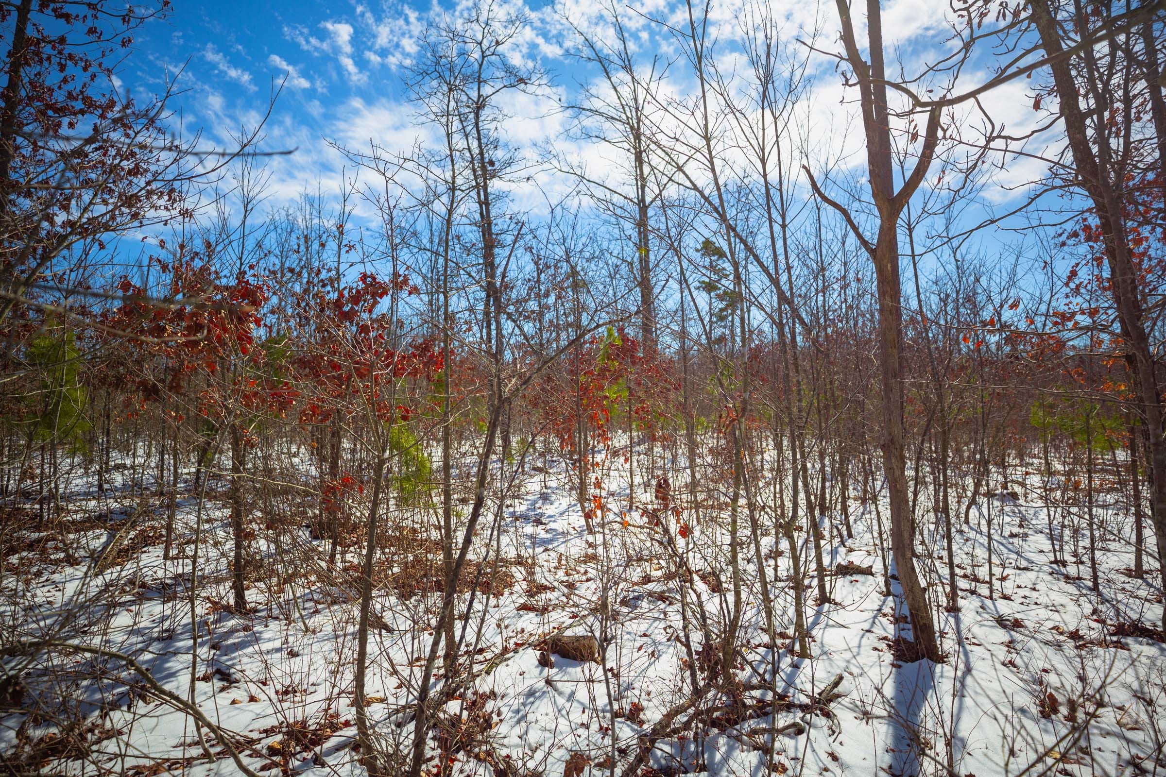 Sleepy Hollow Phase I Tract 59 photo 17