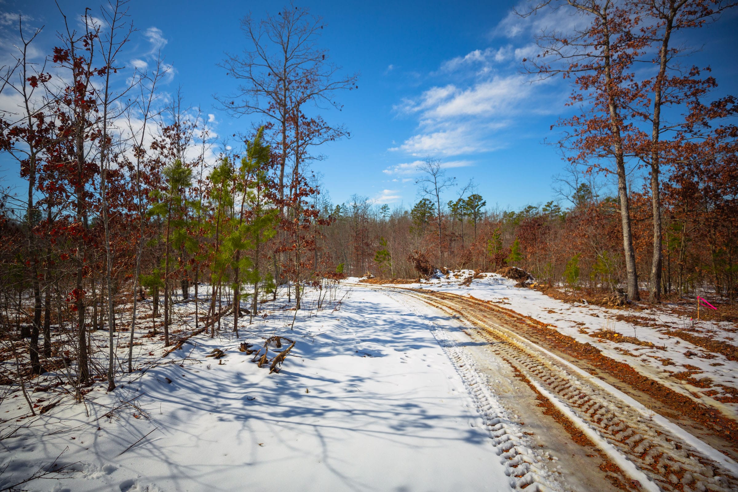 Sleepy Hollow Phase I Tract 59 photo 3