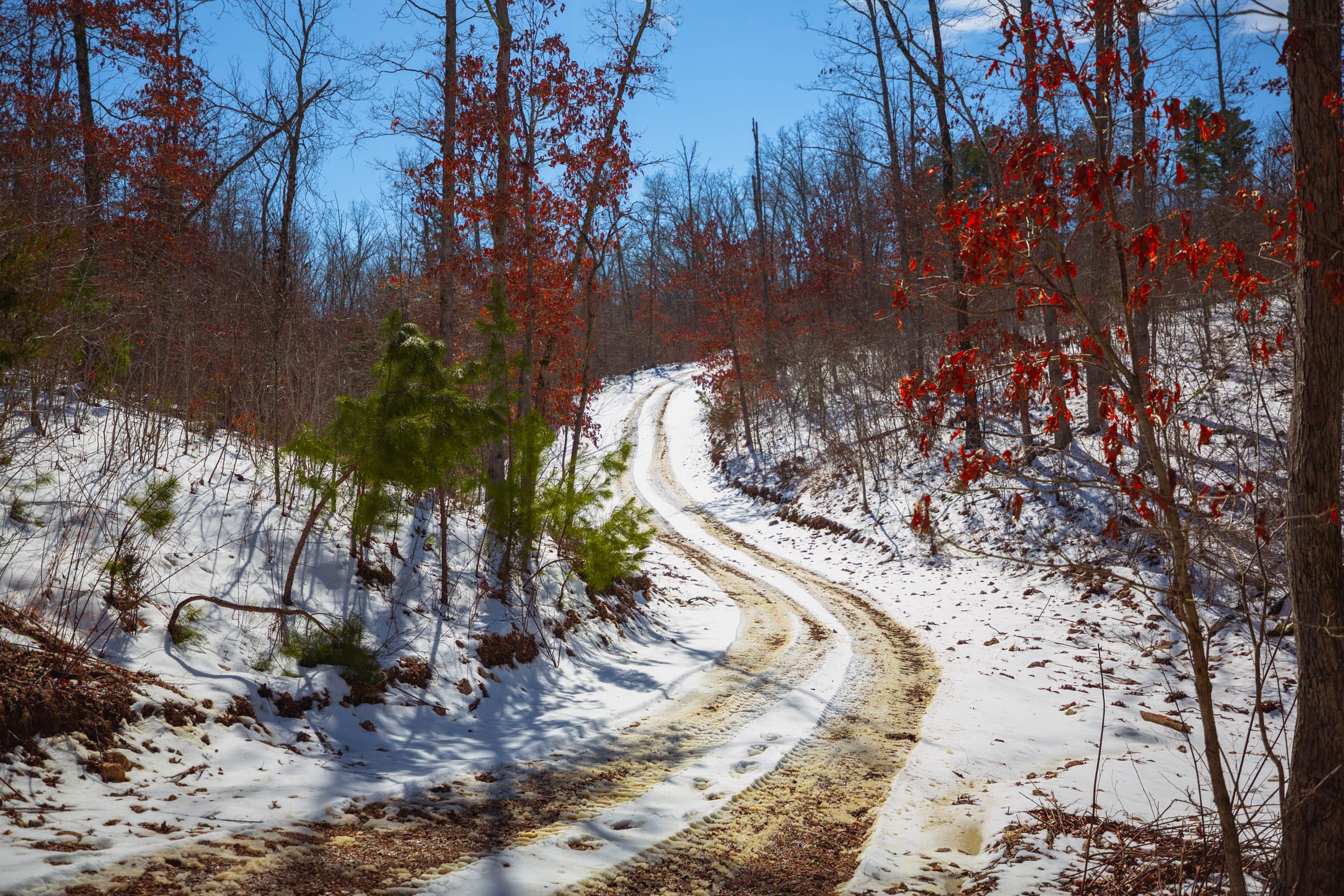 Sleepy Hollow Phase I Tract 59 photo 1